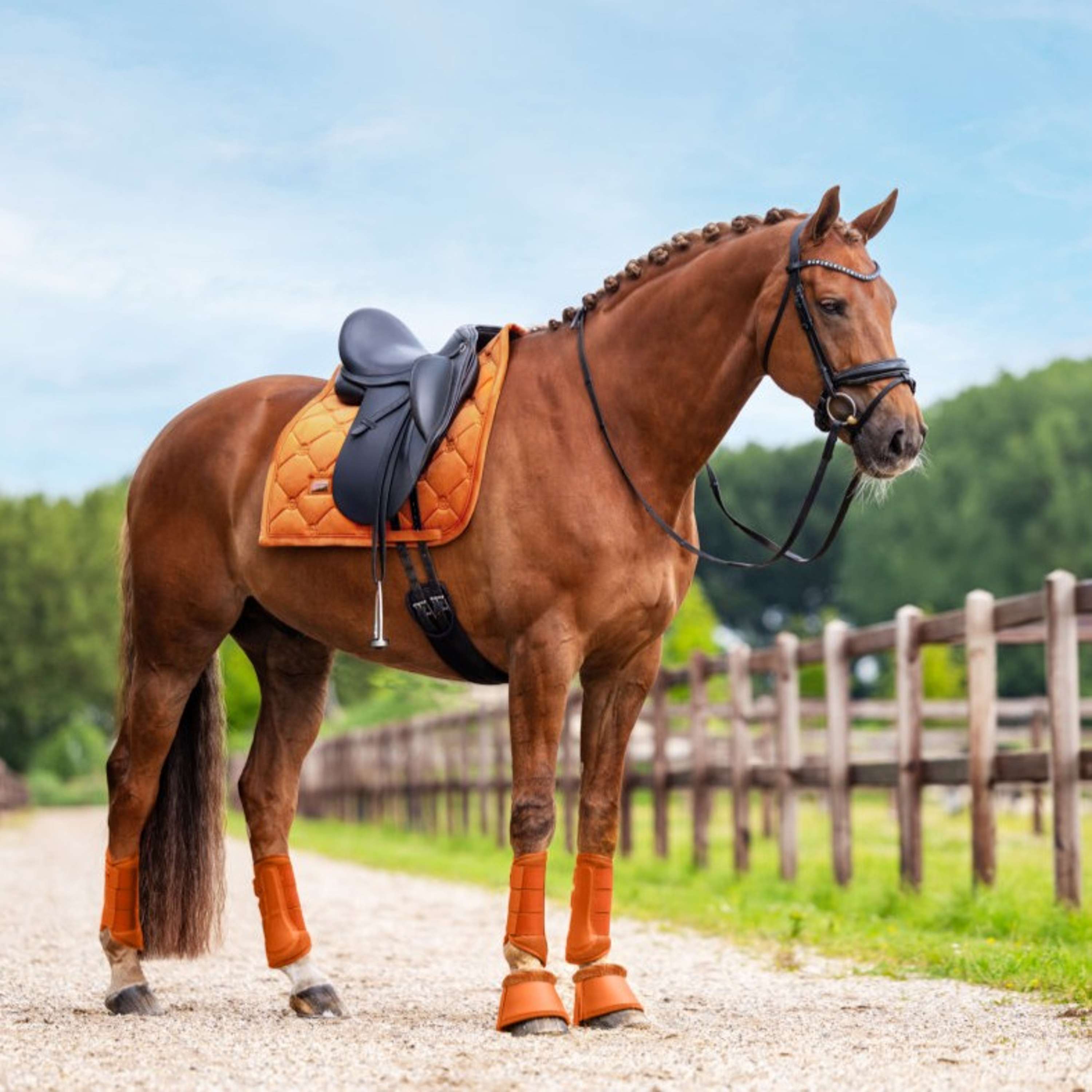 Equestrian Stockholm Bell Boots Chestnut
