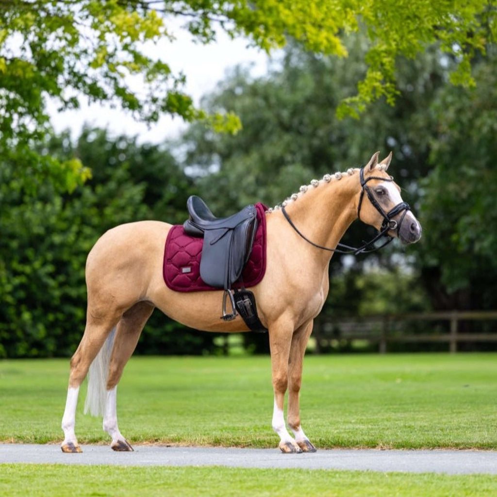 Equestrian Stockholm Saddlepad Velvet Dressage Merlot