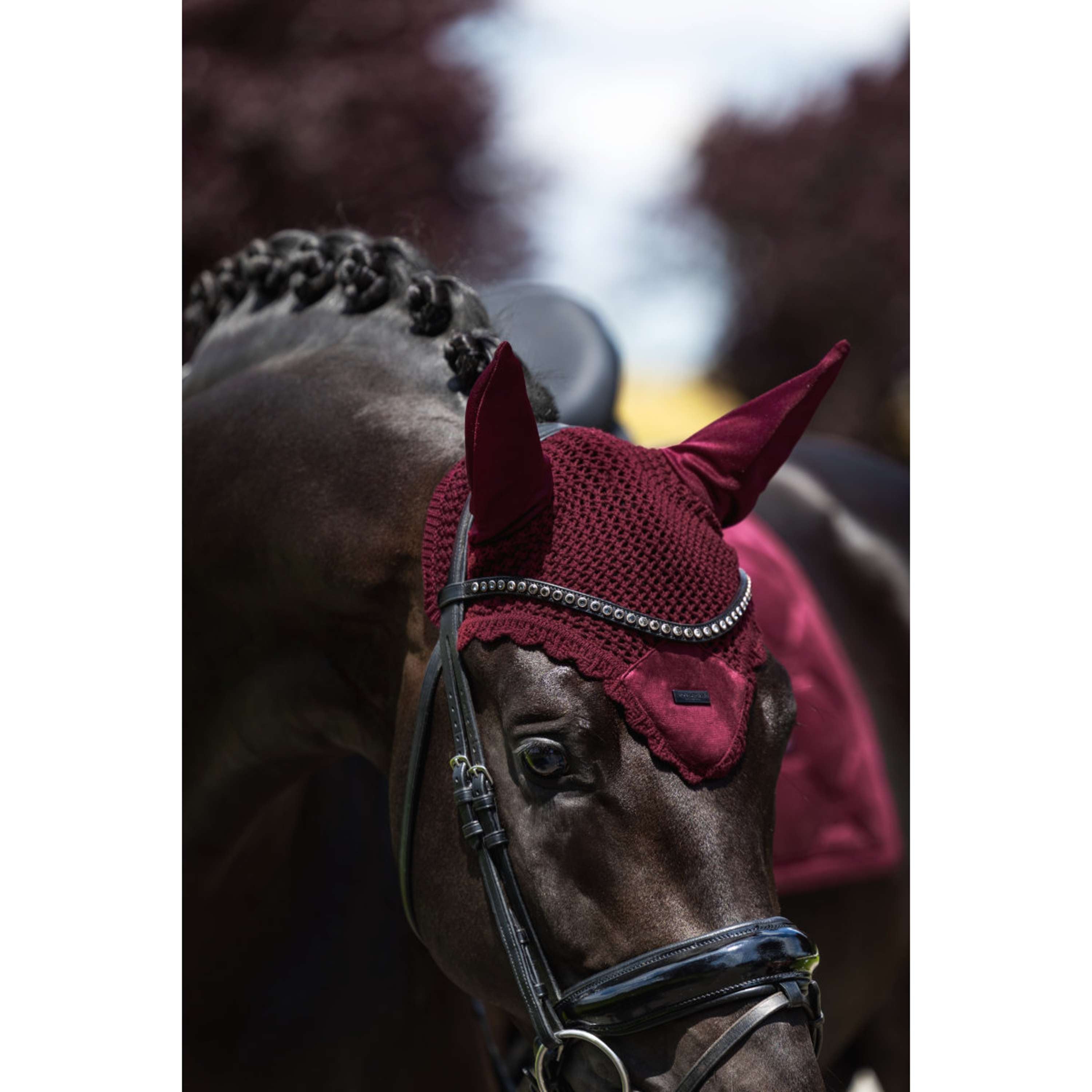 Equestrian Stockholm Ear Bonnet Velvet Merlot