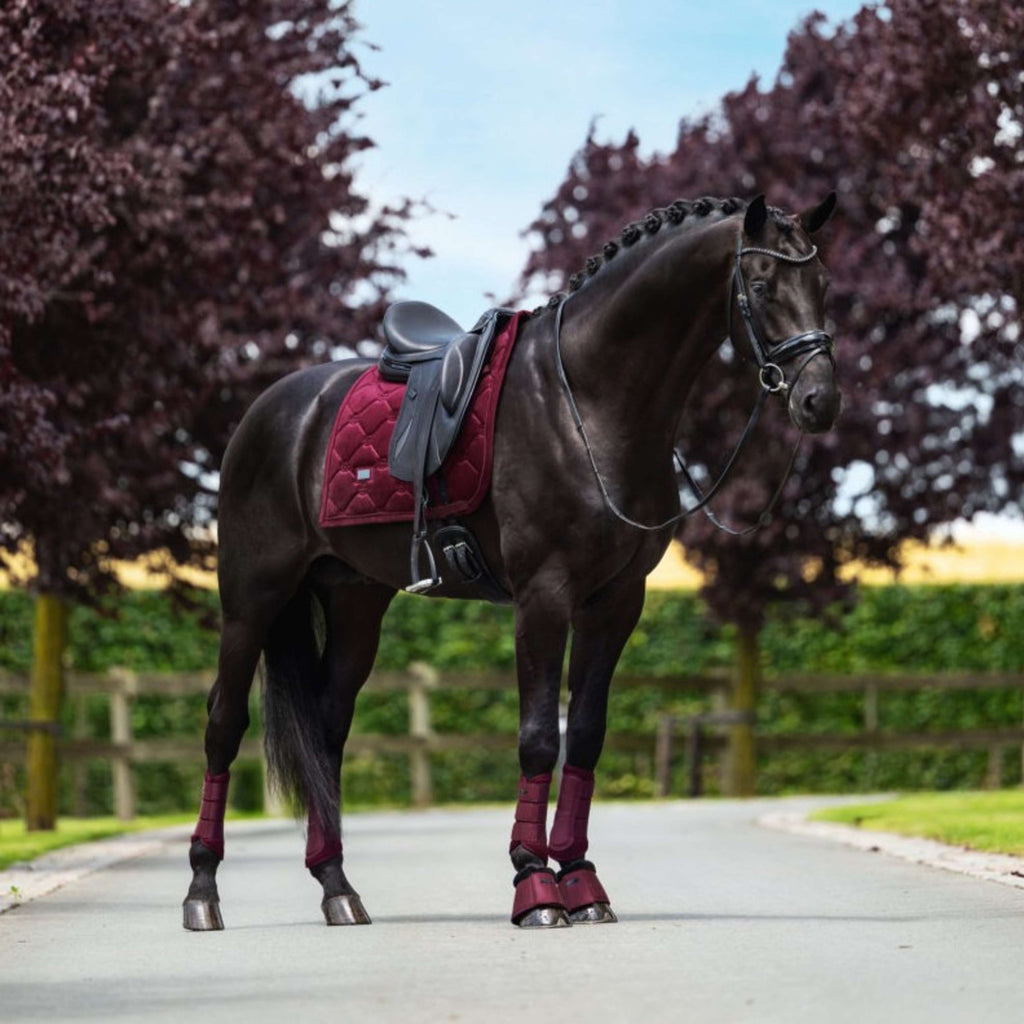 Equestrian Stockholm Leg Protectors Mesh Merlot