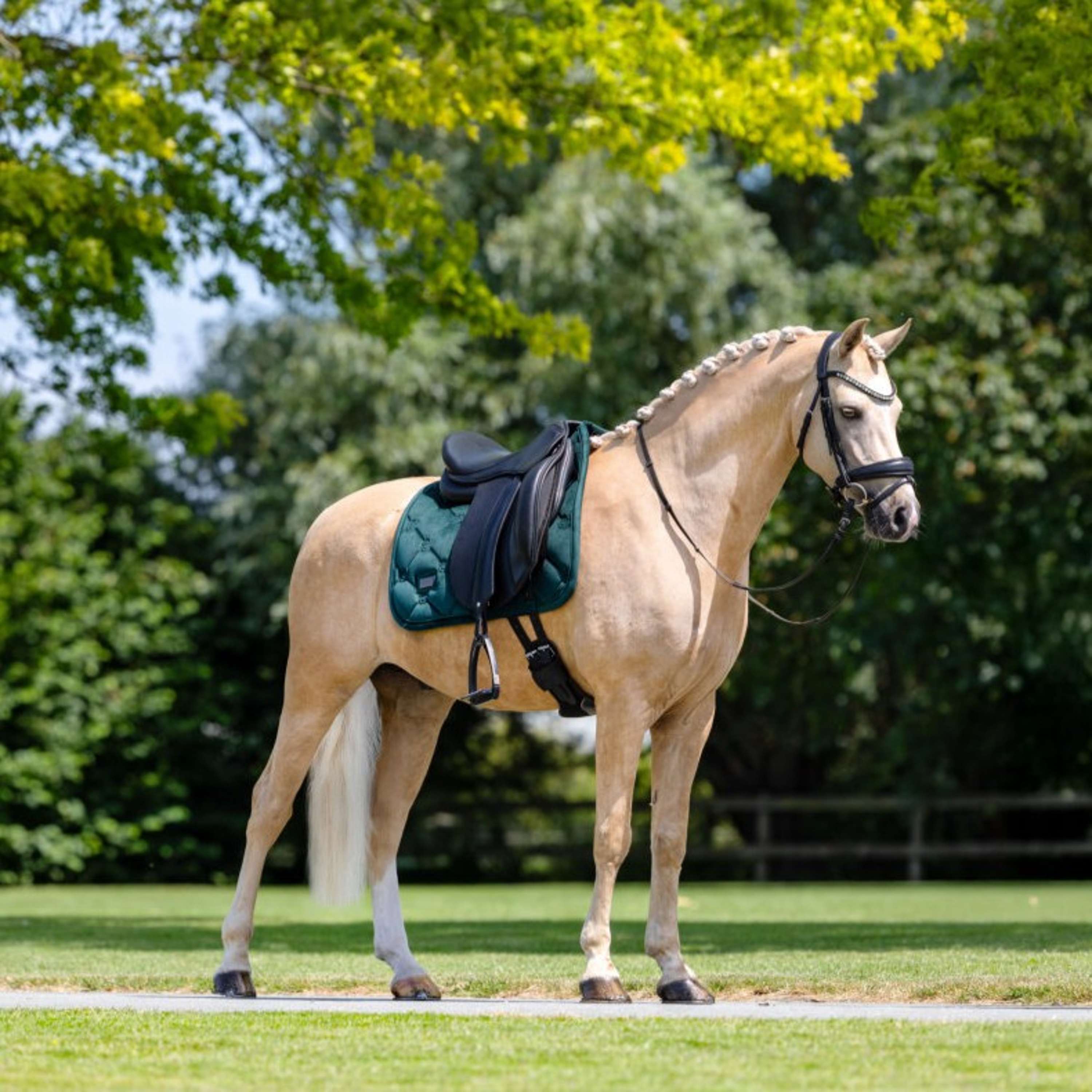 Equestrian Stockholm Saddlepad Velvet Dressage Sycamore Green