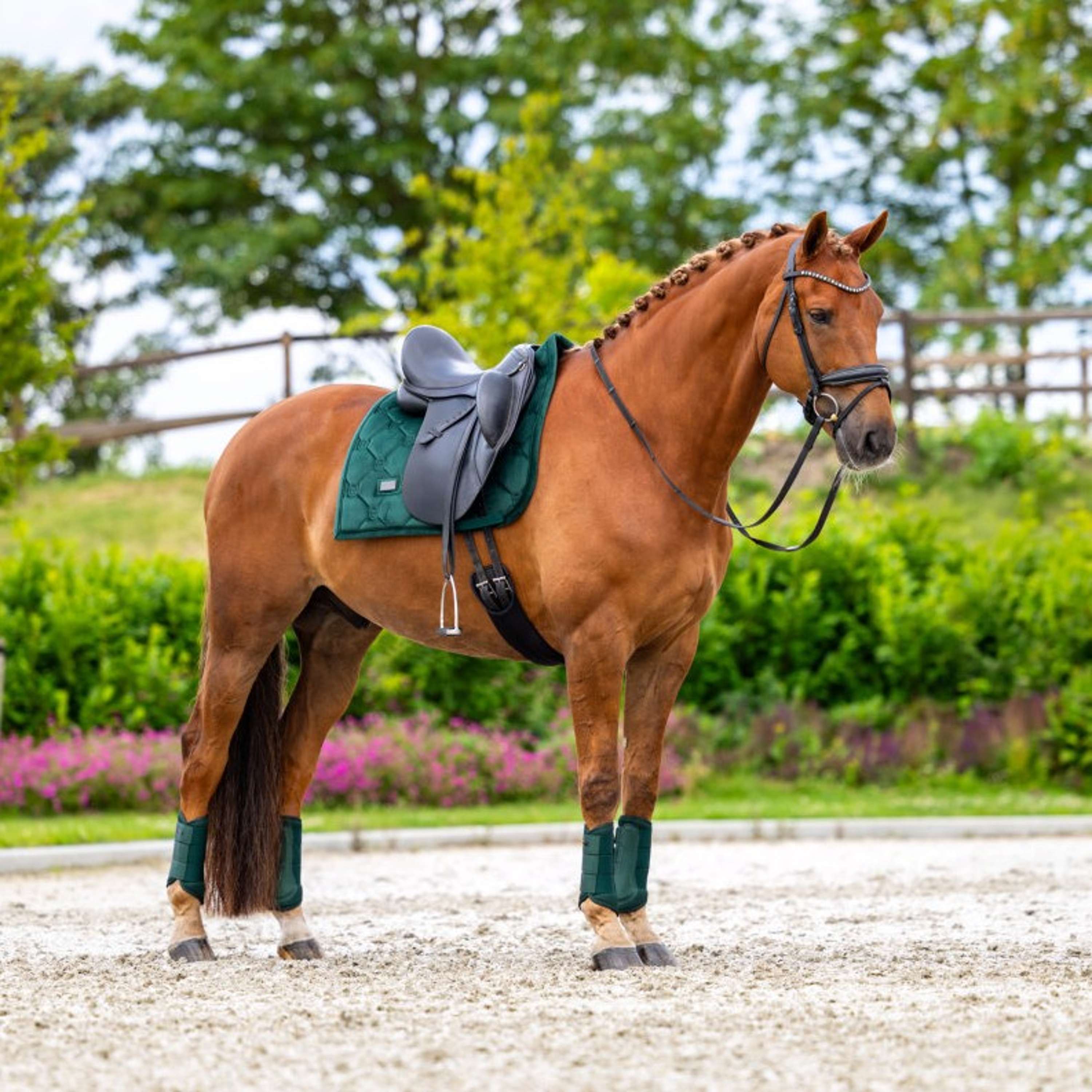 Equestrian Stockholm Saddlepad Velvet Dressage Sycamore Green