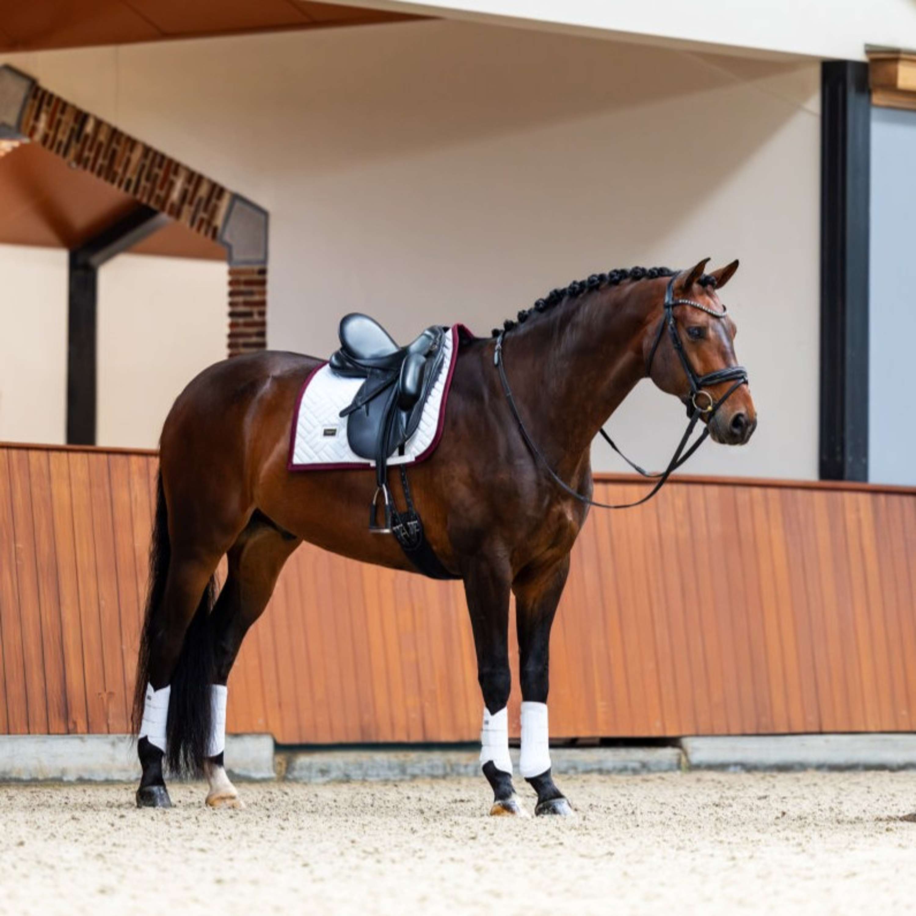 Equestrian Stockholm Saddlepad Modern Dressage White/Merlot