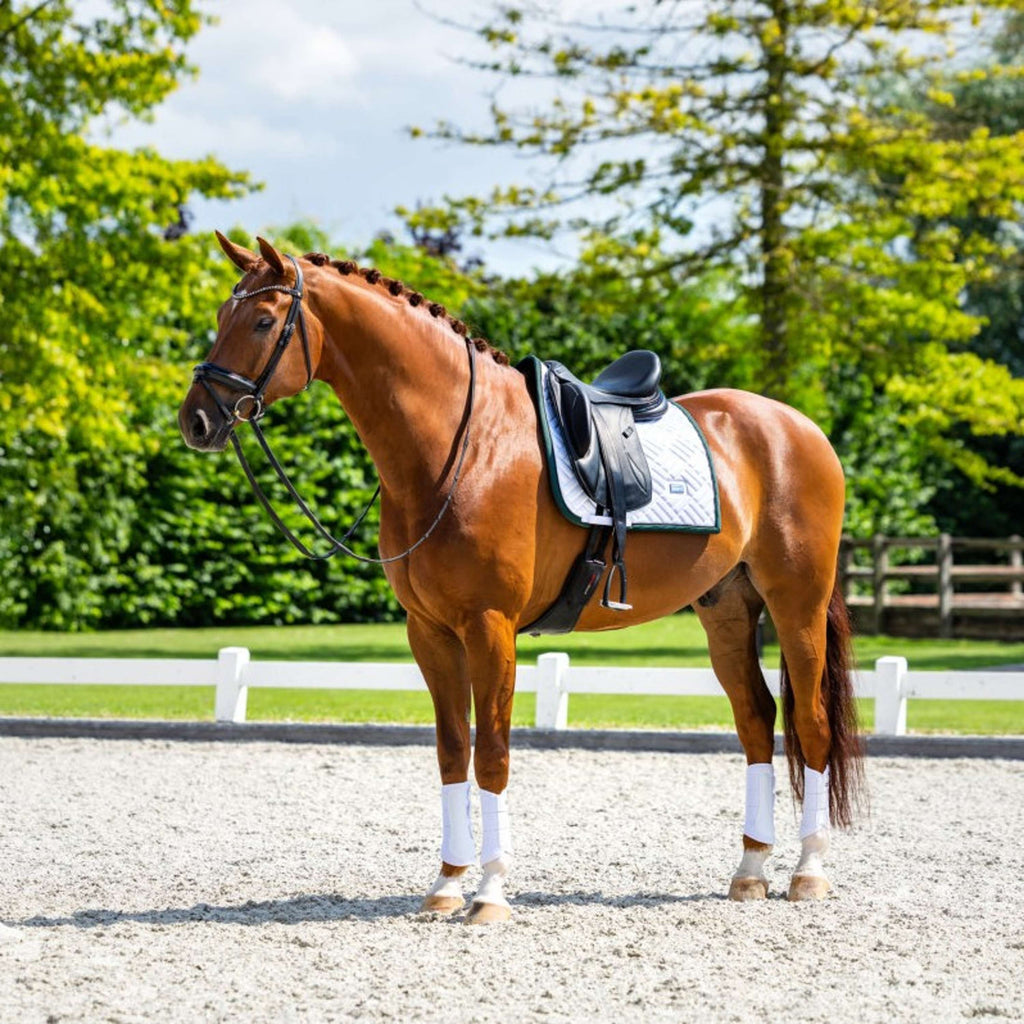 Equestrian Stockholm Saddlepad Modern Dressage White/Sycamore Green