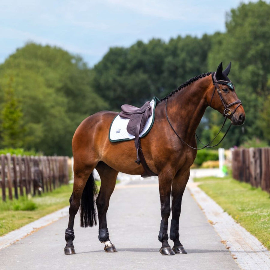 Equestrian Stockholm Saddlepad Modern Jumping White/Sycamore Green