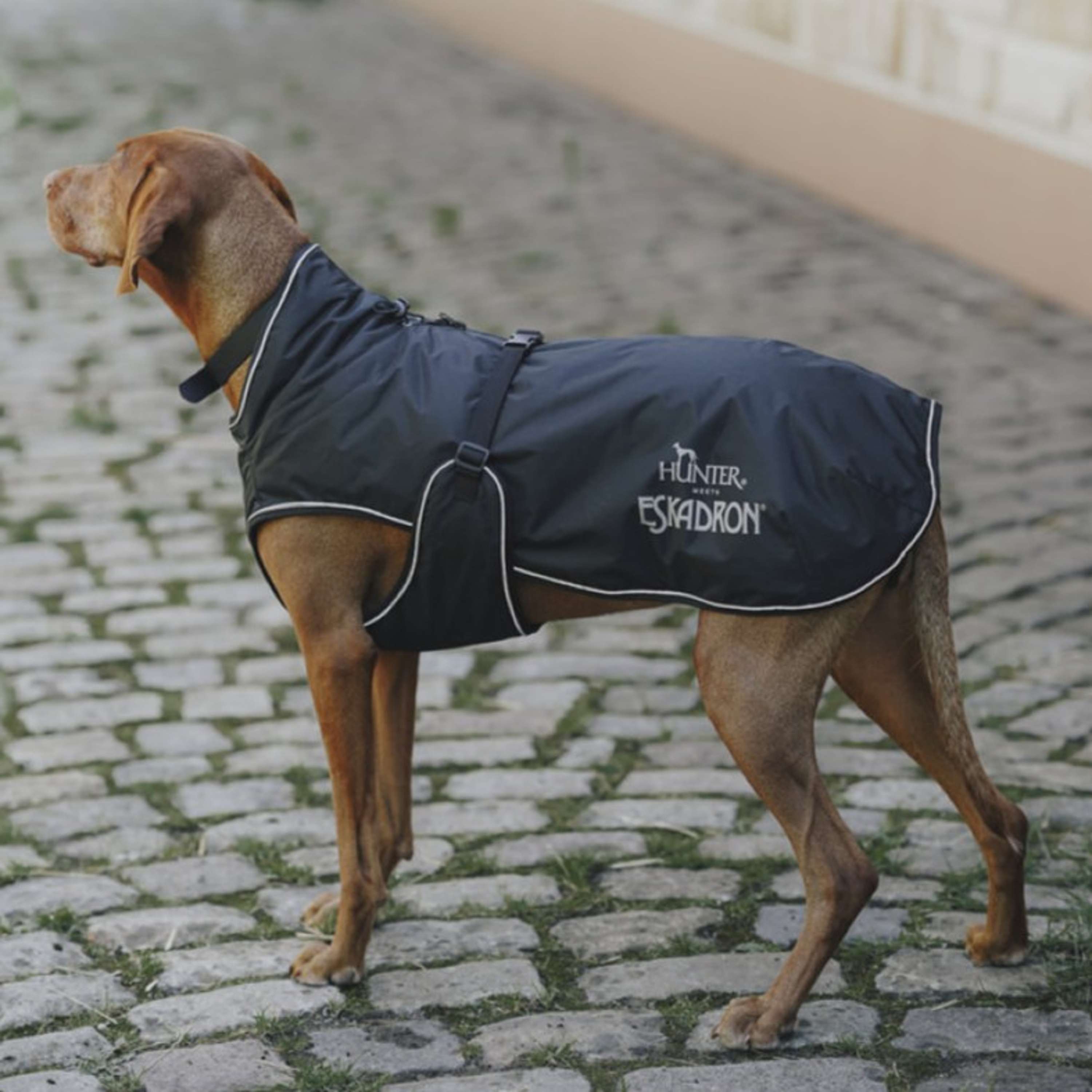 Hunter x Eskadron Dog Winter Coat Vario Black