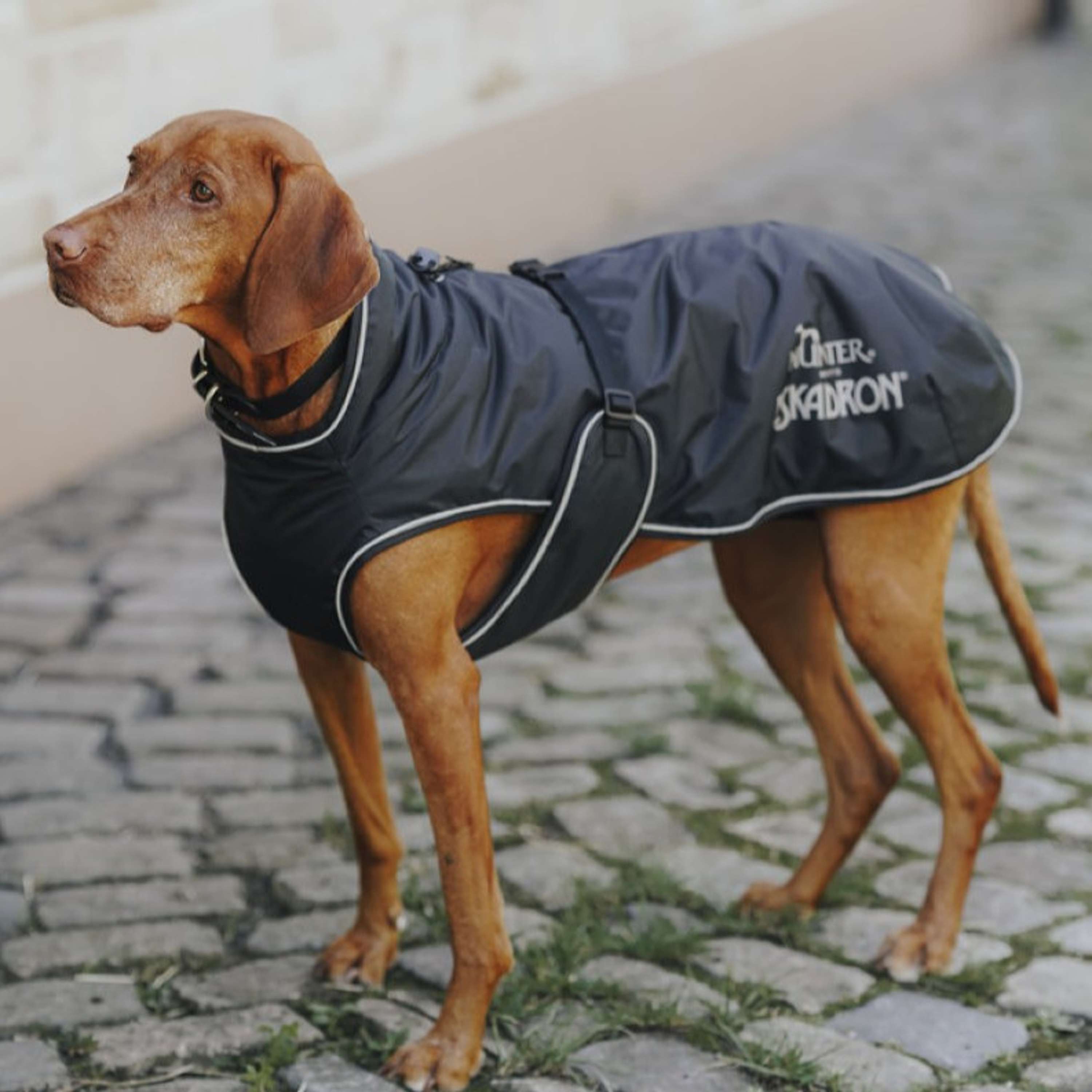 Hunter x Eskadron Dog Winter Coat Vario Black