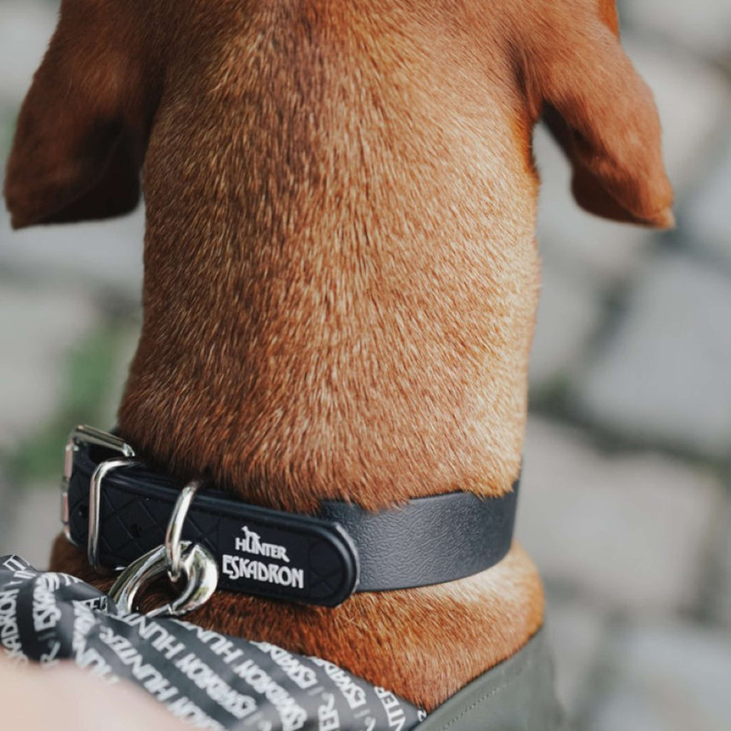 Hunter x Eskadron Dog Collar Spark Black