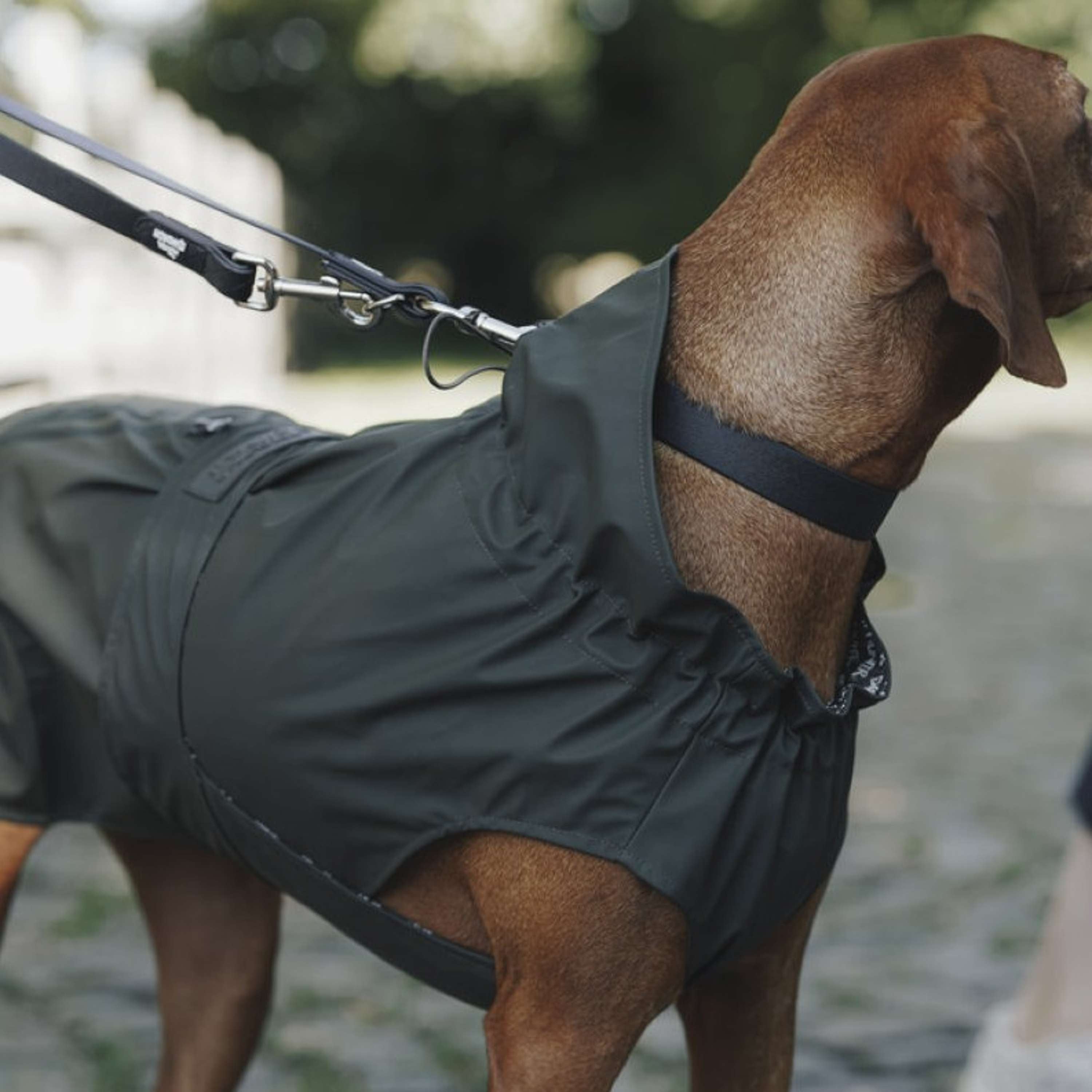 Hunter x Eskadron Dog Raincoat Rainshield Olive