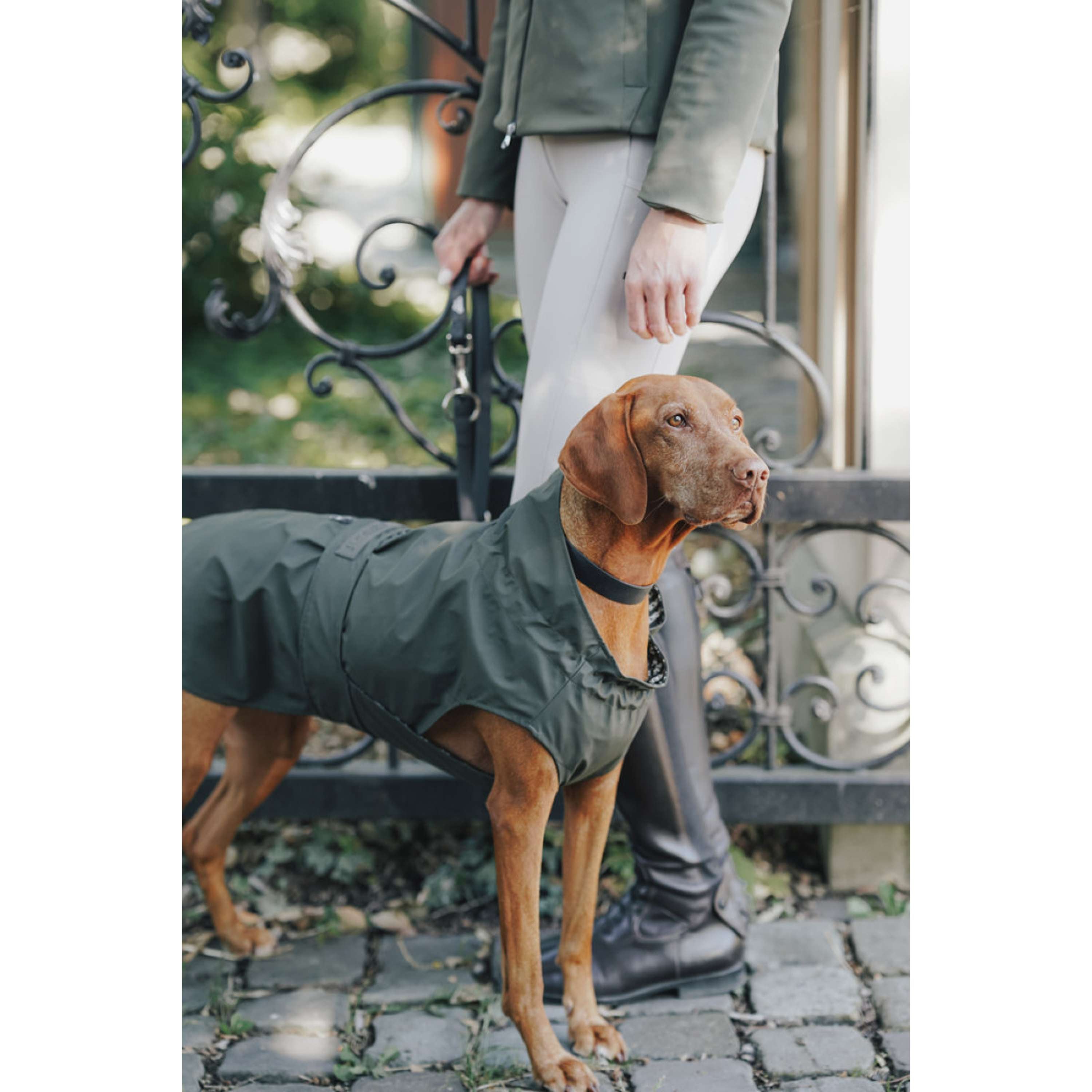 Hunter x Eskadron Dog Raincoat Rainshield Olive
