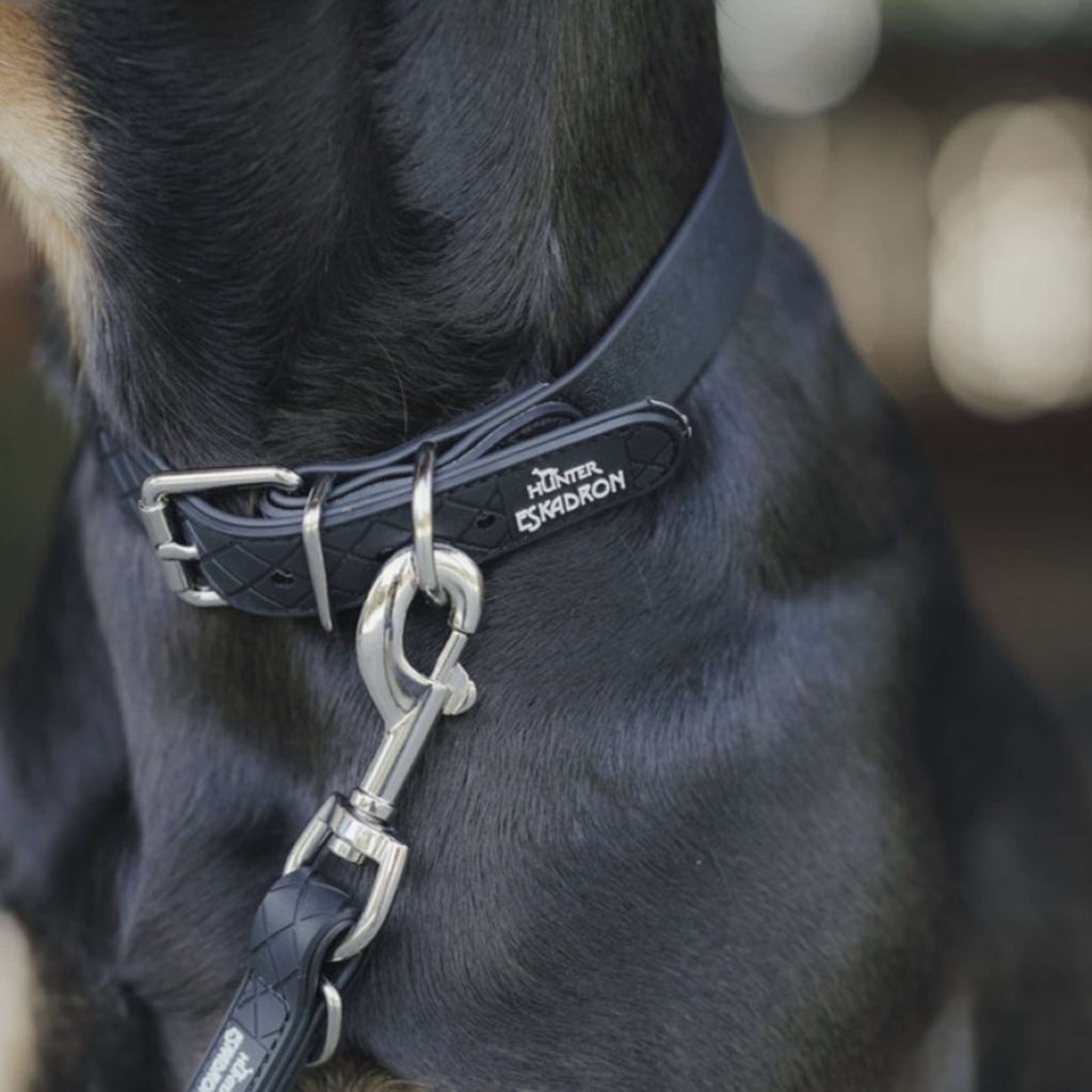 Hunter x Eskadron Dog Collar Spark Black
