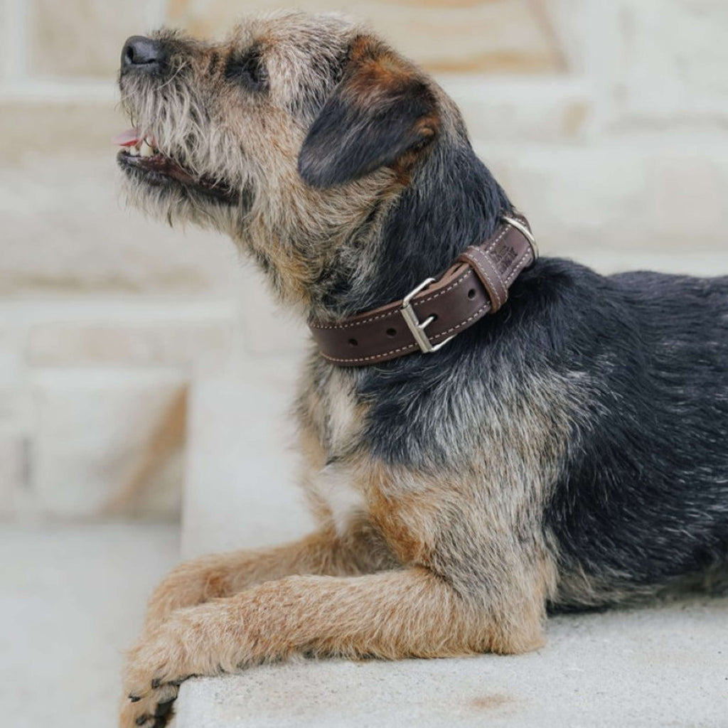 Hunter x Eskadron Dog Collar Craft Dark Brown