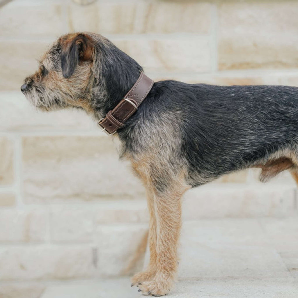 Hunter x Eskadron Dog Collar Craft Dark Brown