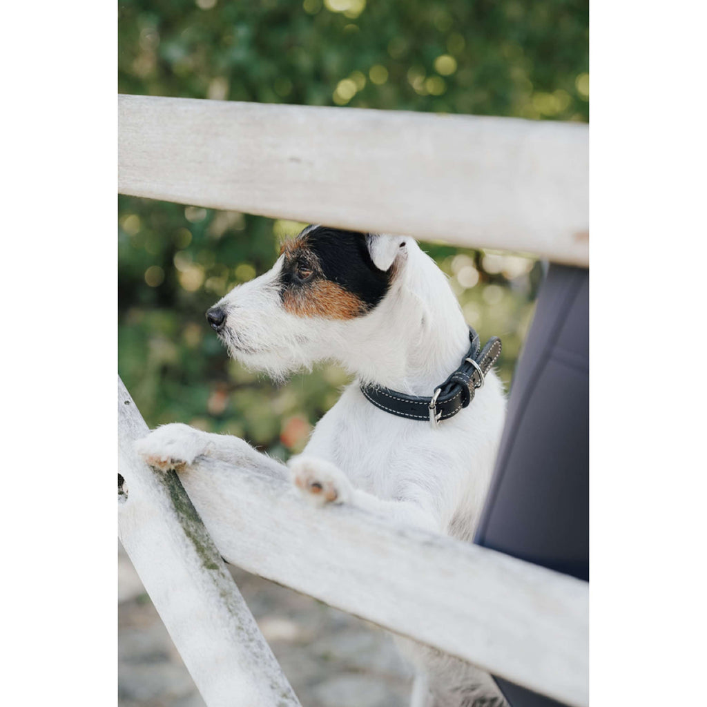 Hunter x Eskadron Dog Collar Craft Black