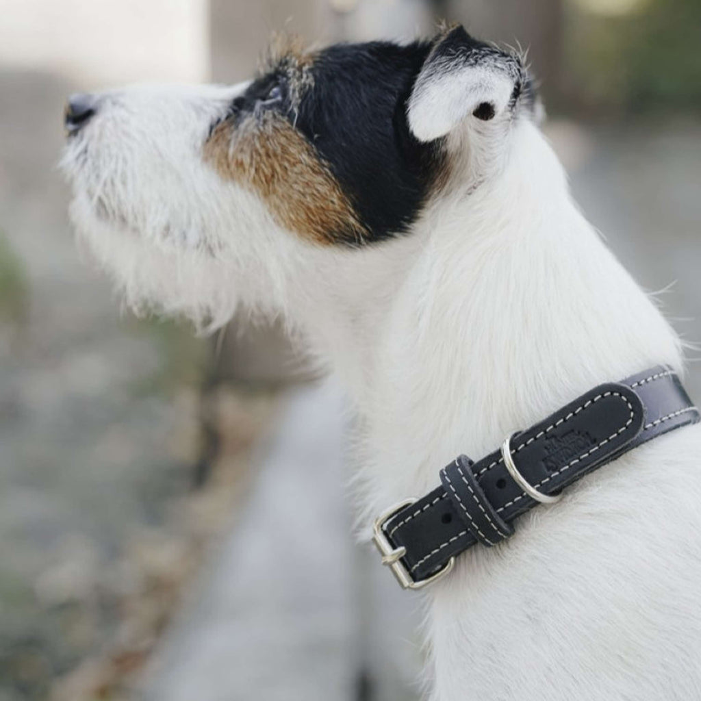 Hunter x Eskadron Dog Collar Craft Black