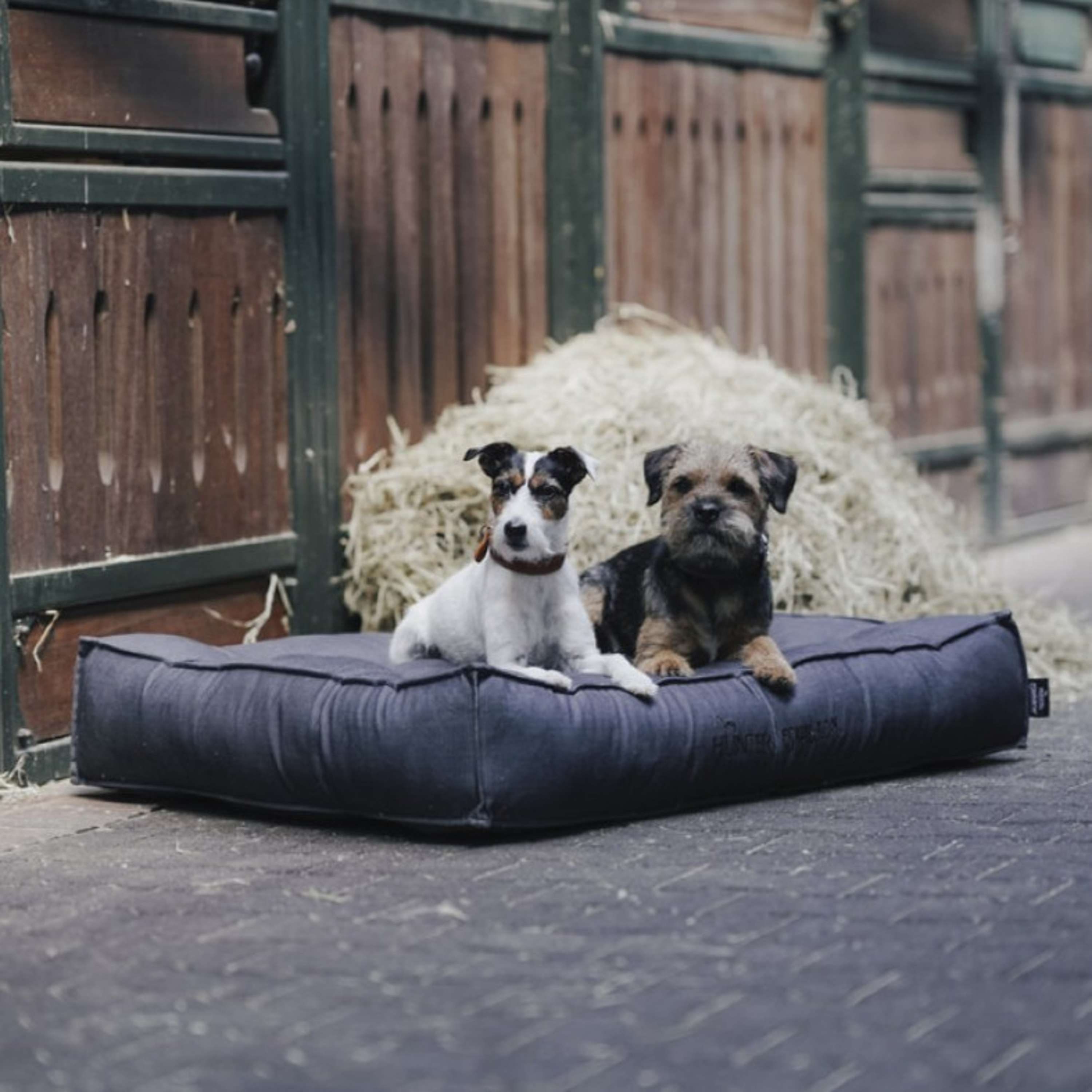 Hunter x Eskadron Dog Bed Chester Anthracite checked
