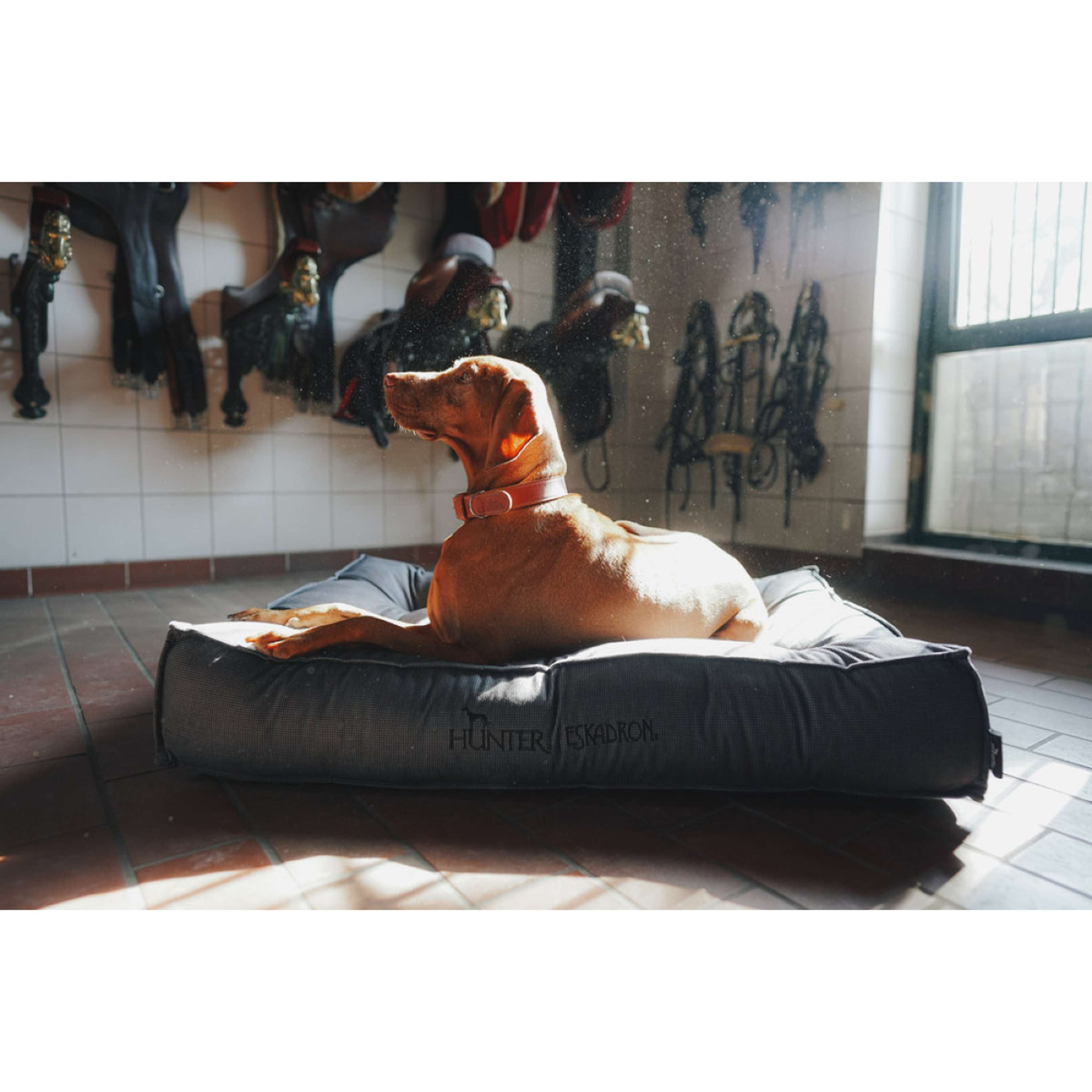Hunter x Eskadron Dog Bed Chester Anthracite checked