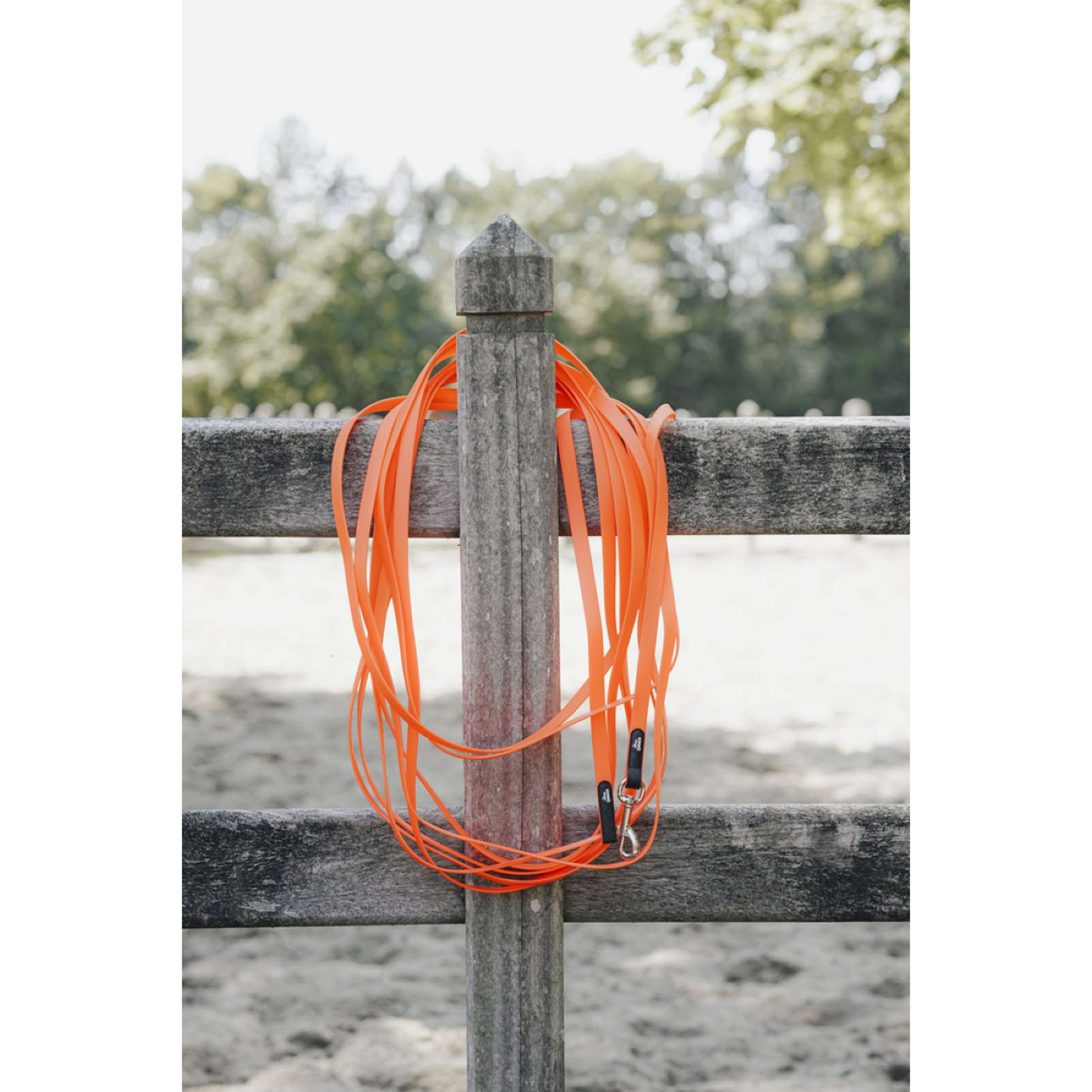 Hunter x Eskadron Dog Leash Spark Tracking Neon Orange