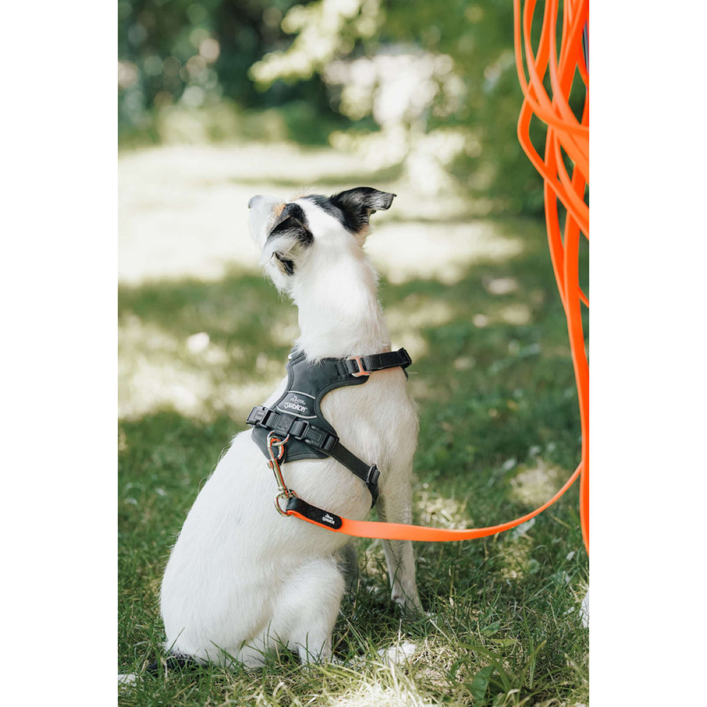 Hunter x Eskadron Dog Harness Motion Reflect Anthracite