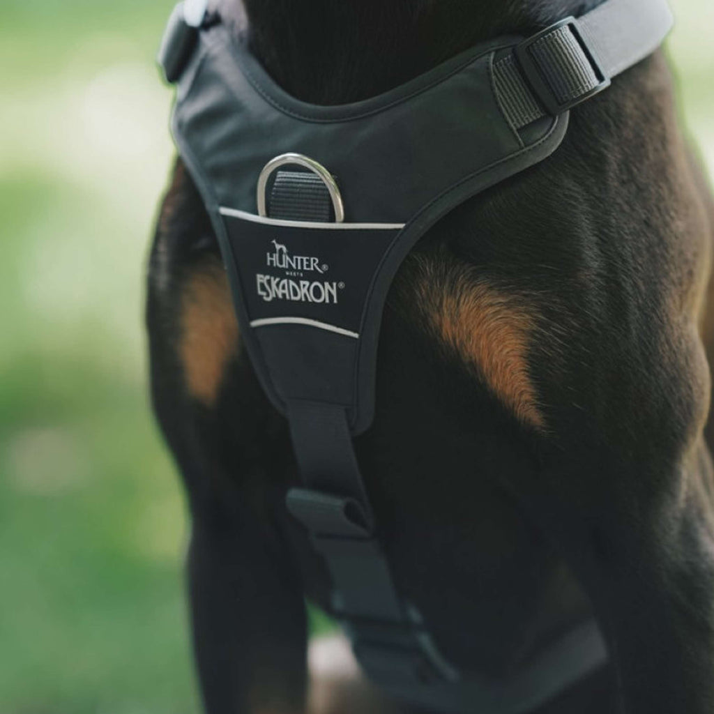 Hunter x Eskadron Dog Harness Motion Reflect Anthracite
