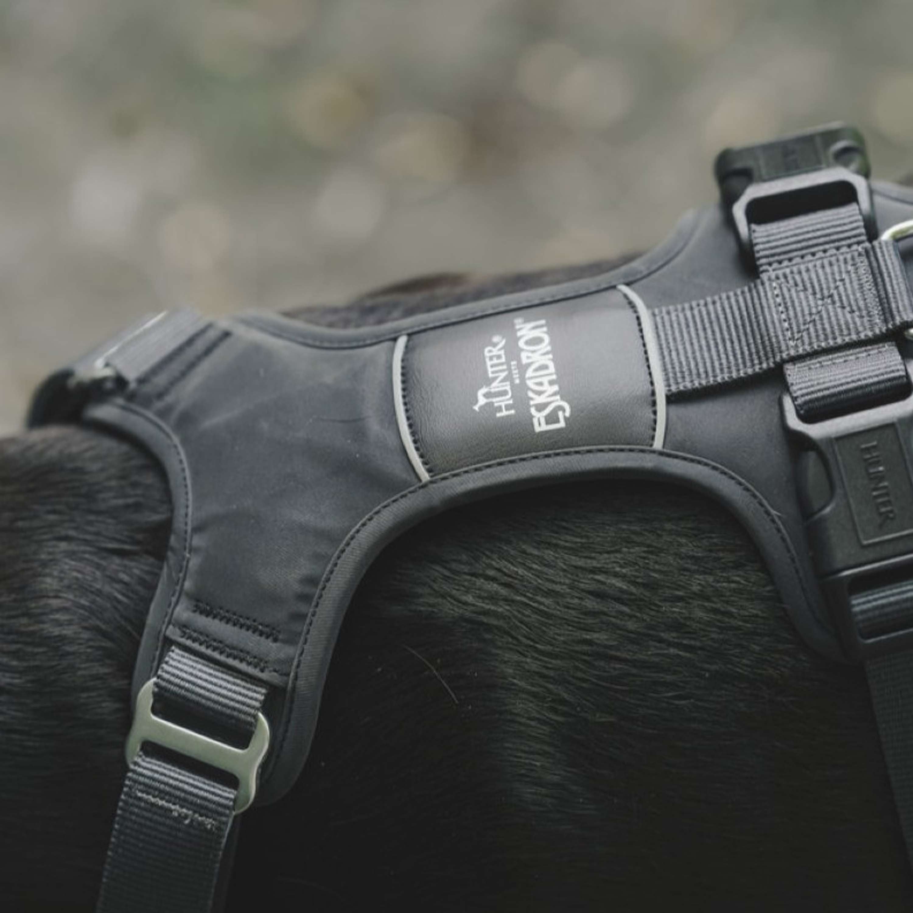 Hunter x Eskadron Dog Harness Motion Reflect Anthracite