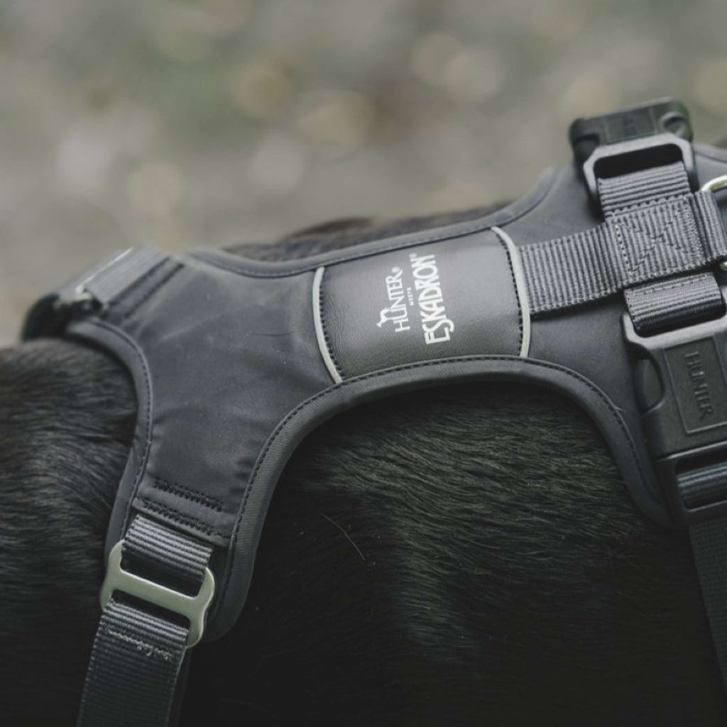 Hunter x Eskadron Dog Harness Motion Reflect Anthracite