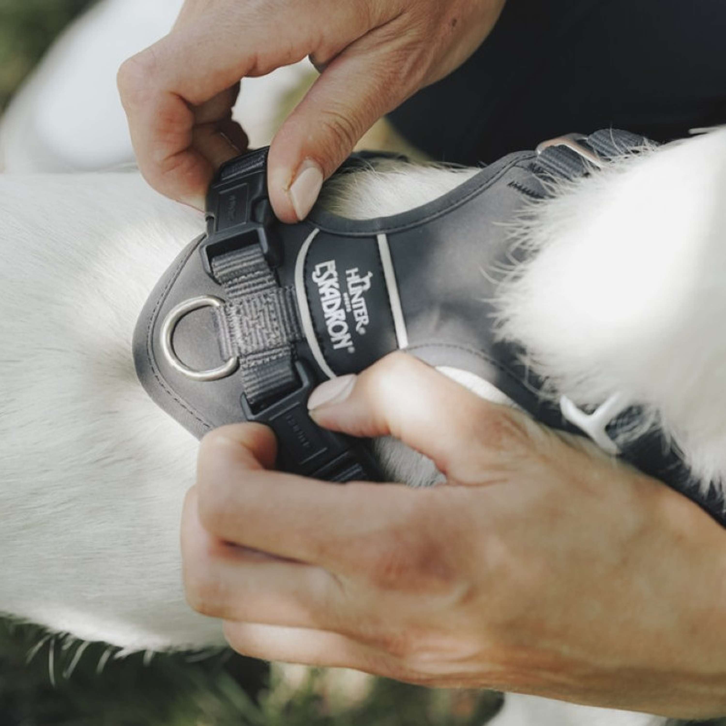 Hunter x Eskadron Dog Harness Motion Reflect Anthracite