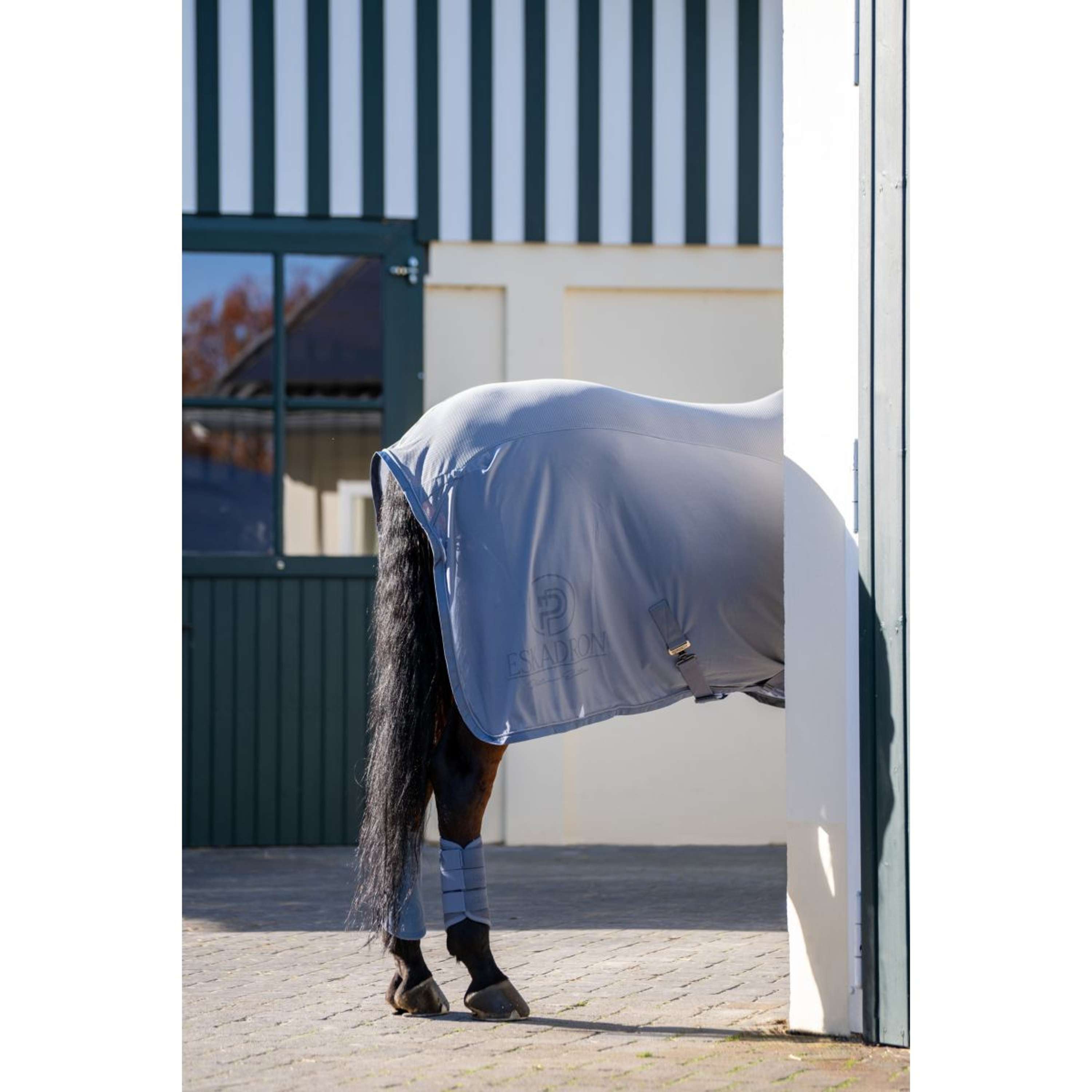 Eskadron Dressage Boots Platinum '26 Mesh Pale Grey