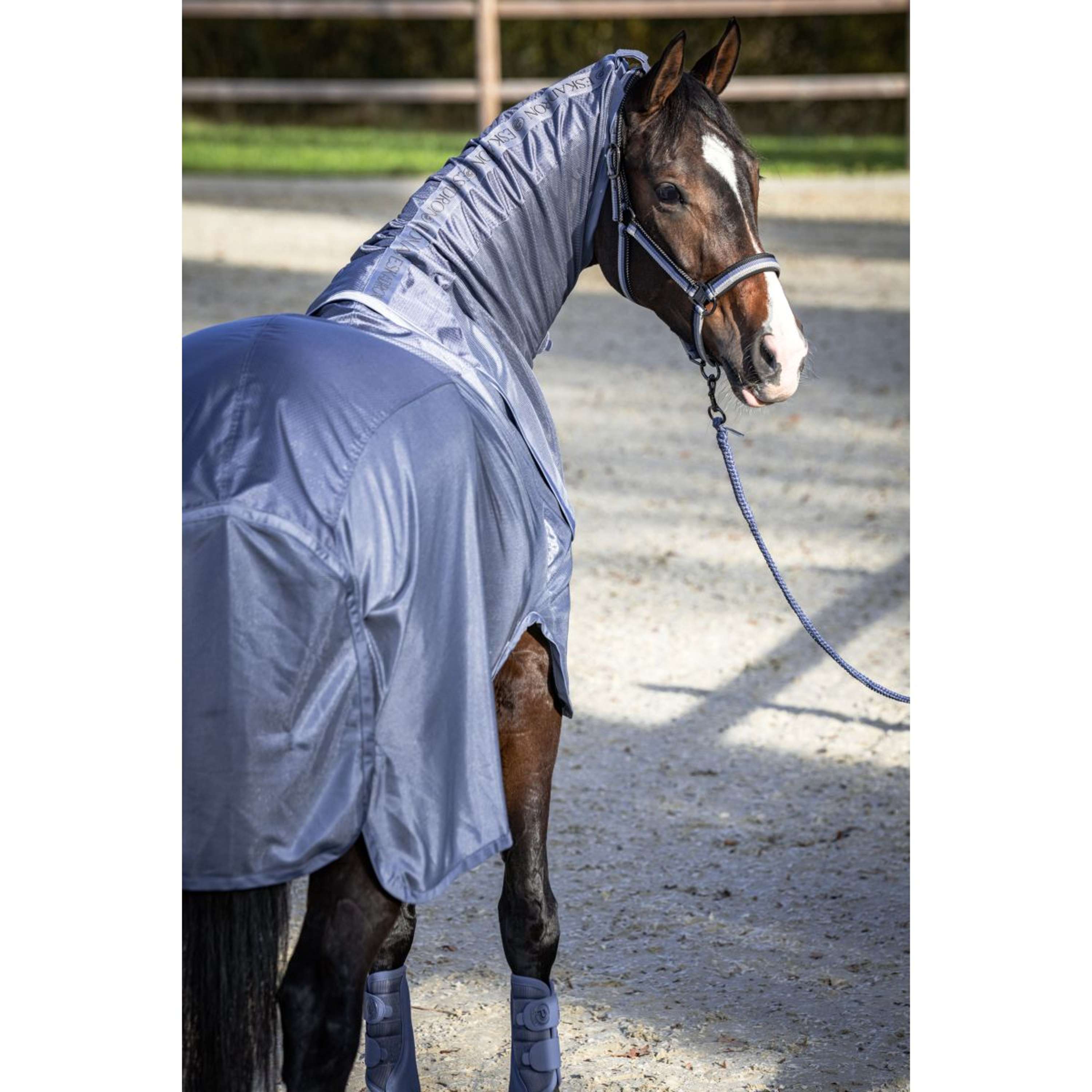 Eskadron Fly Rug Platinum '26 Waterproof with a Removable Hood Slate Blue