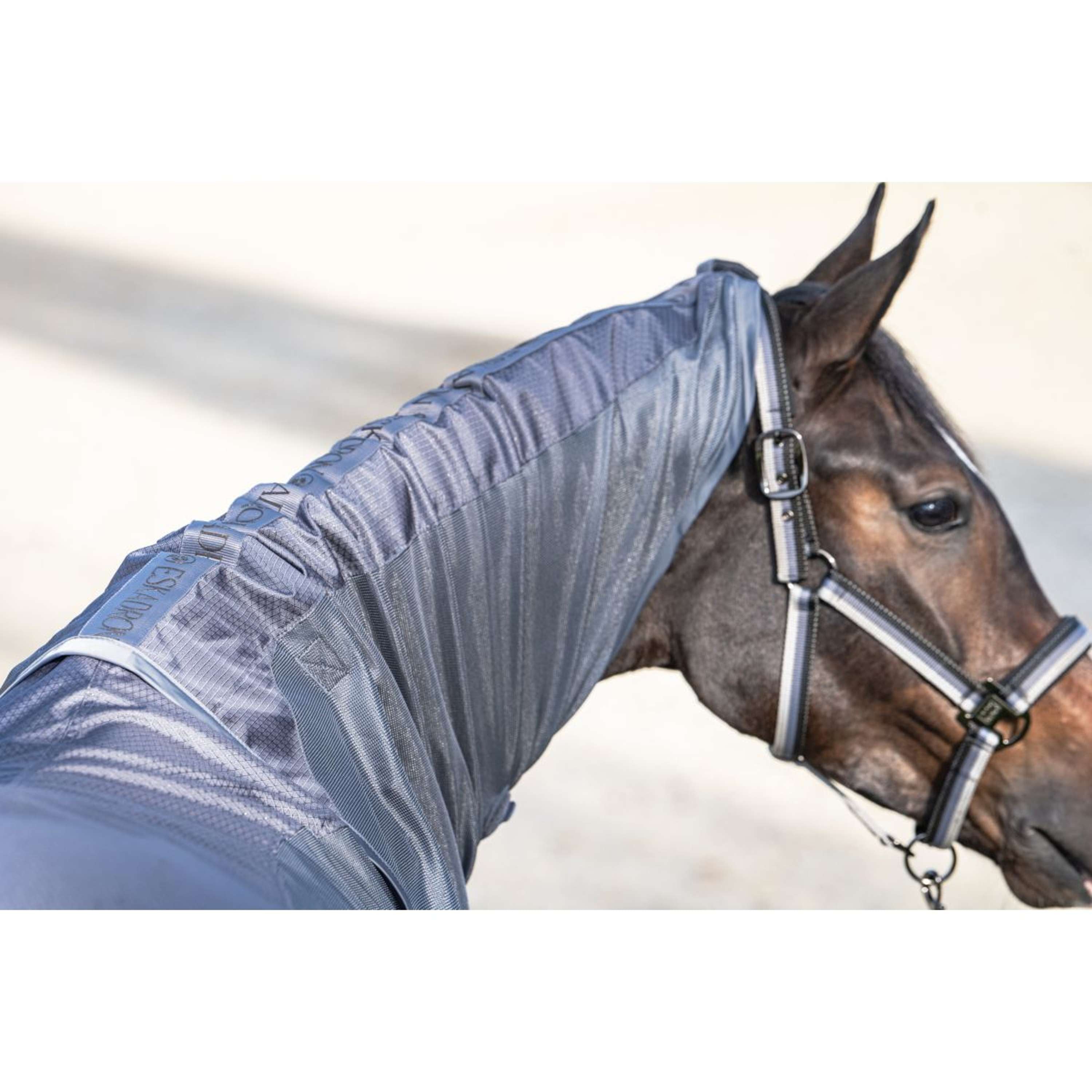Eskadron Fly Rug Platinum '26 Waterproof with a Removable Hood Slate Blue