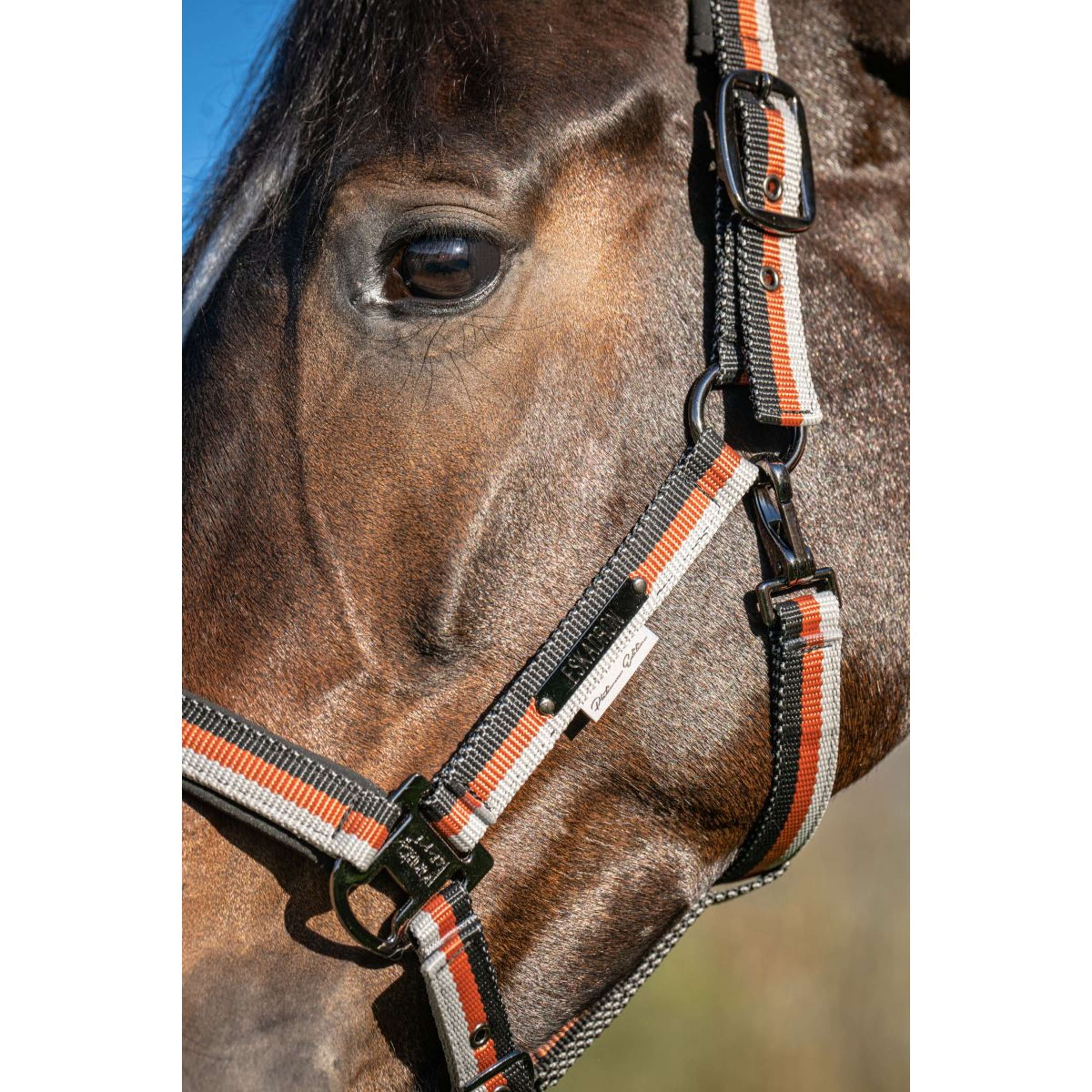 Eskadron Halter Platinum '26 Garth Light Double Pin Black/Pale/Amber