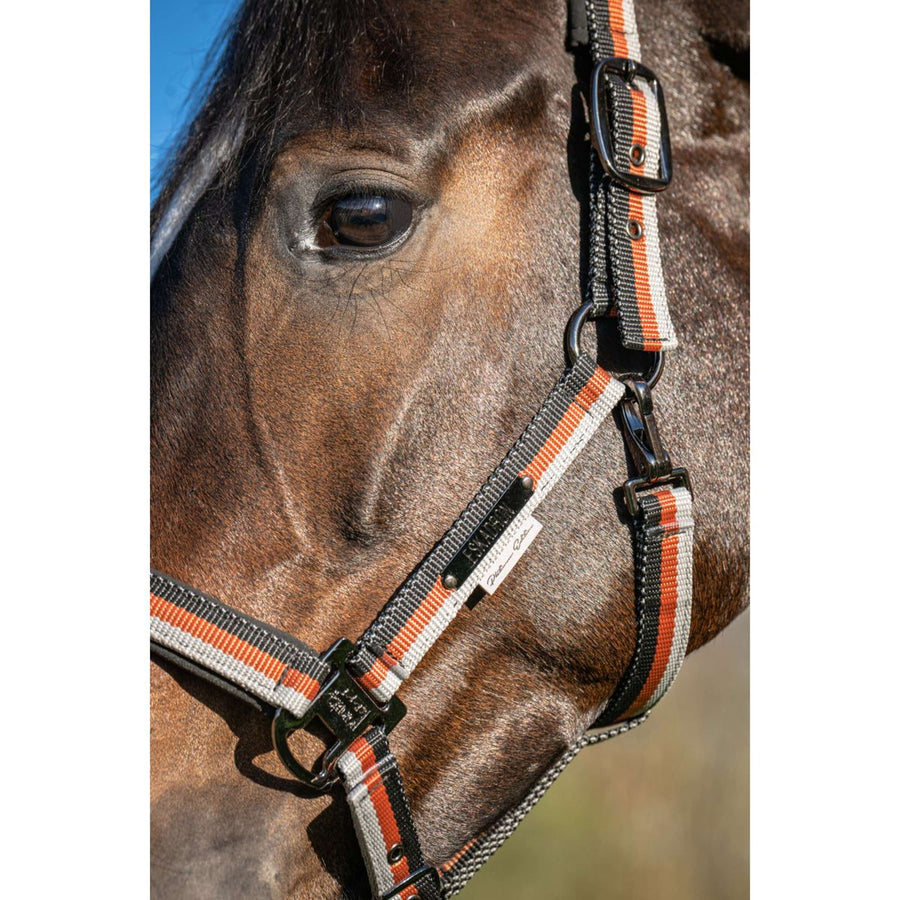 Eskadron Halter Platinum '26 Garth Light Double Pin Black/Pale/Amber