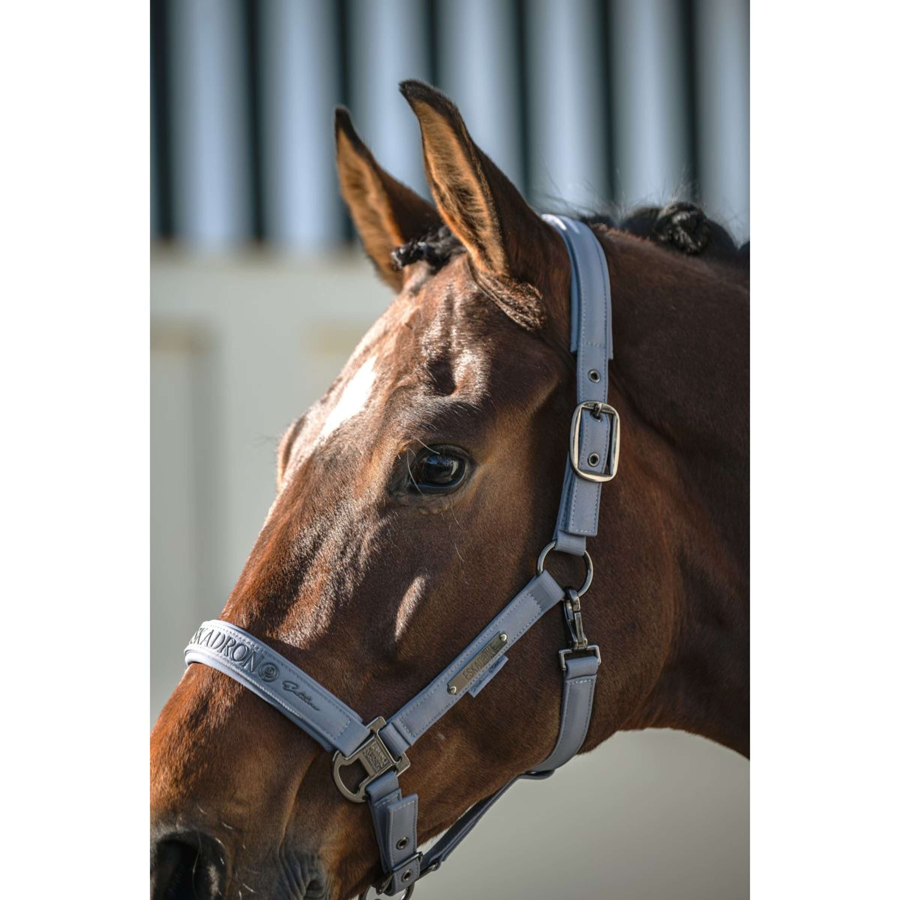 Eskadron Halter Platinum '26 Sparkle Double Pin Slate Blue