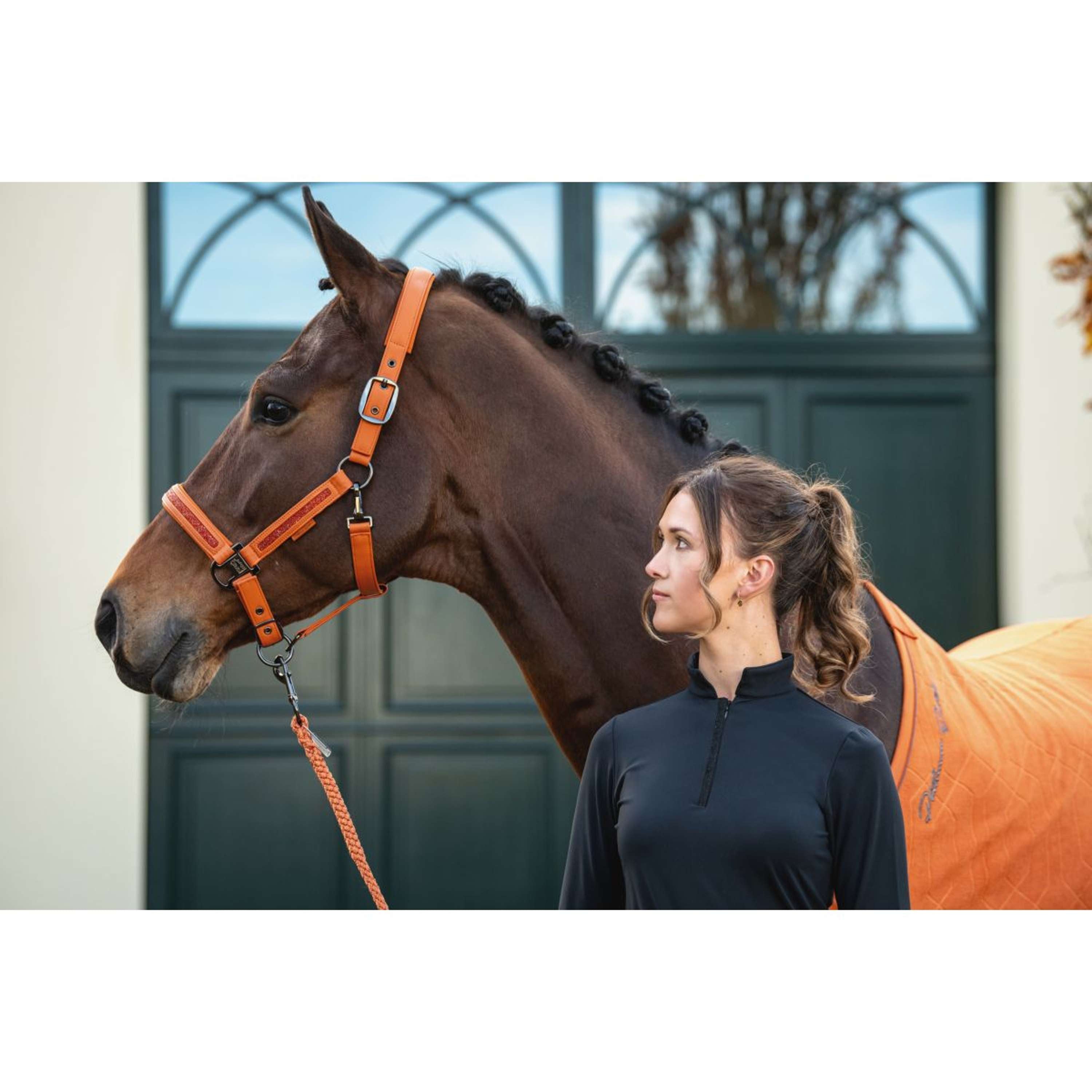 Eskadron Halter Platinum '26 Faux Leather Jewel Amber