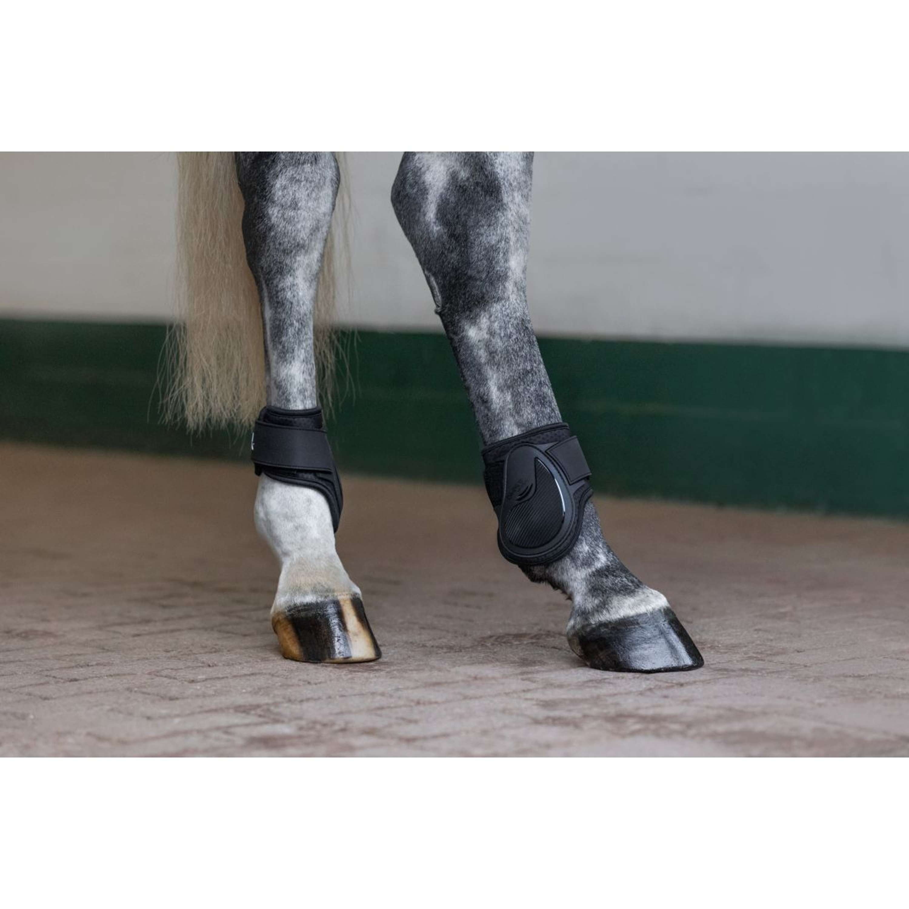 Eskadron Fetlock Boots Air-Flex Classic Black