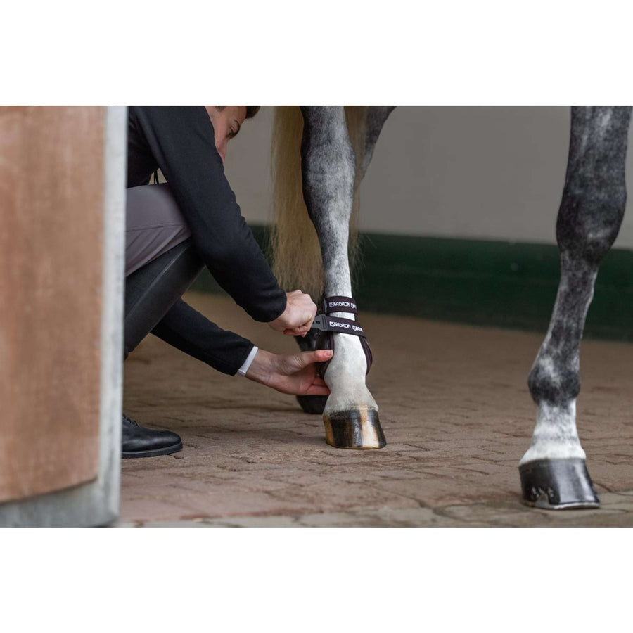 Eskadron Fetlock Boots Air-Flex Sport Brown