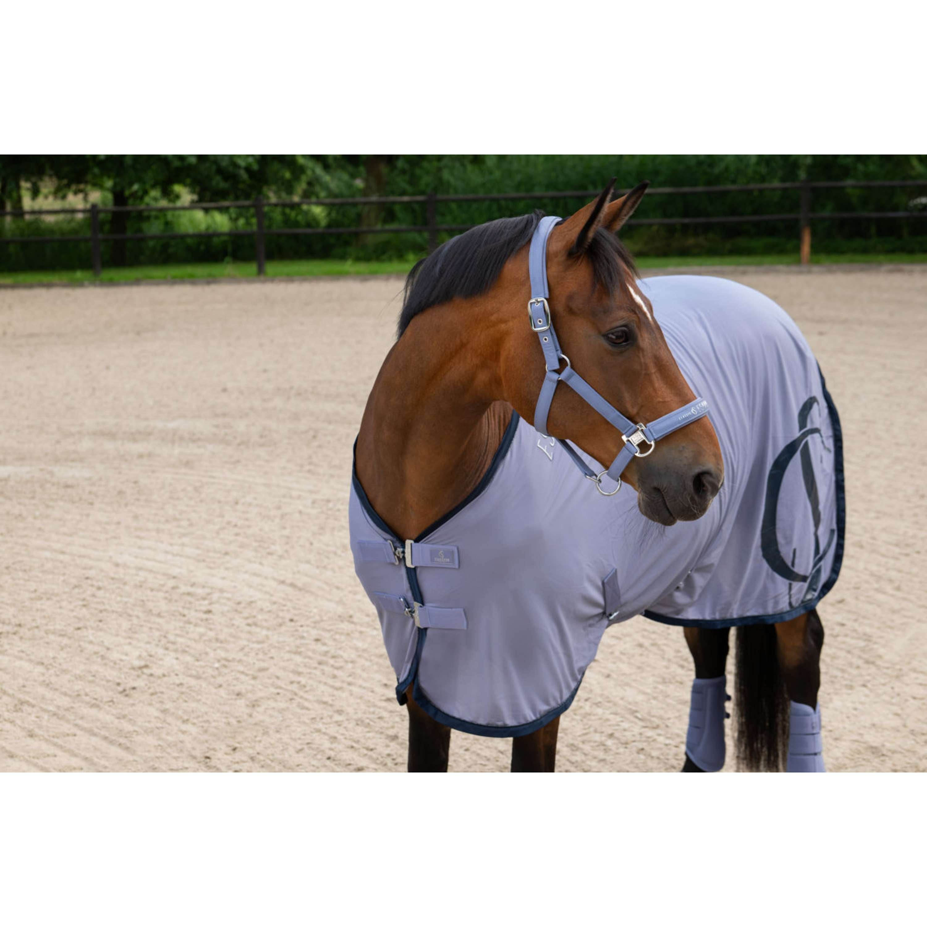 Eskadron Halter Classic Sports Sparkle Orchid