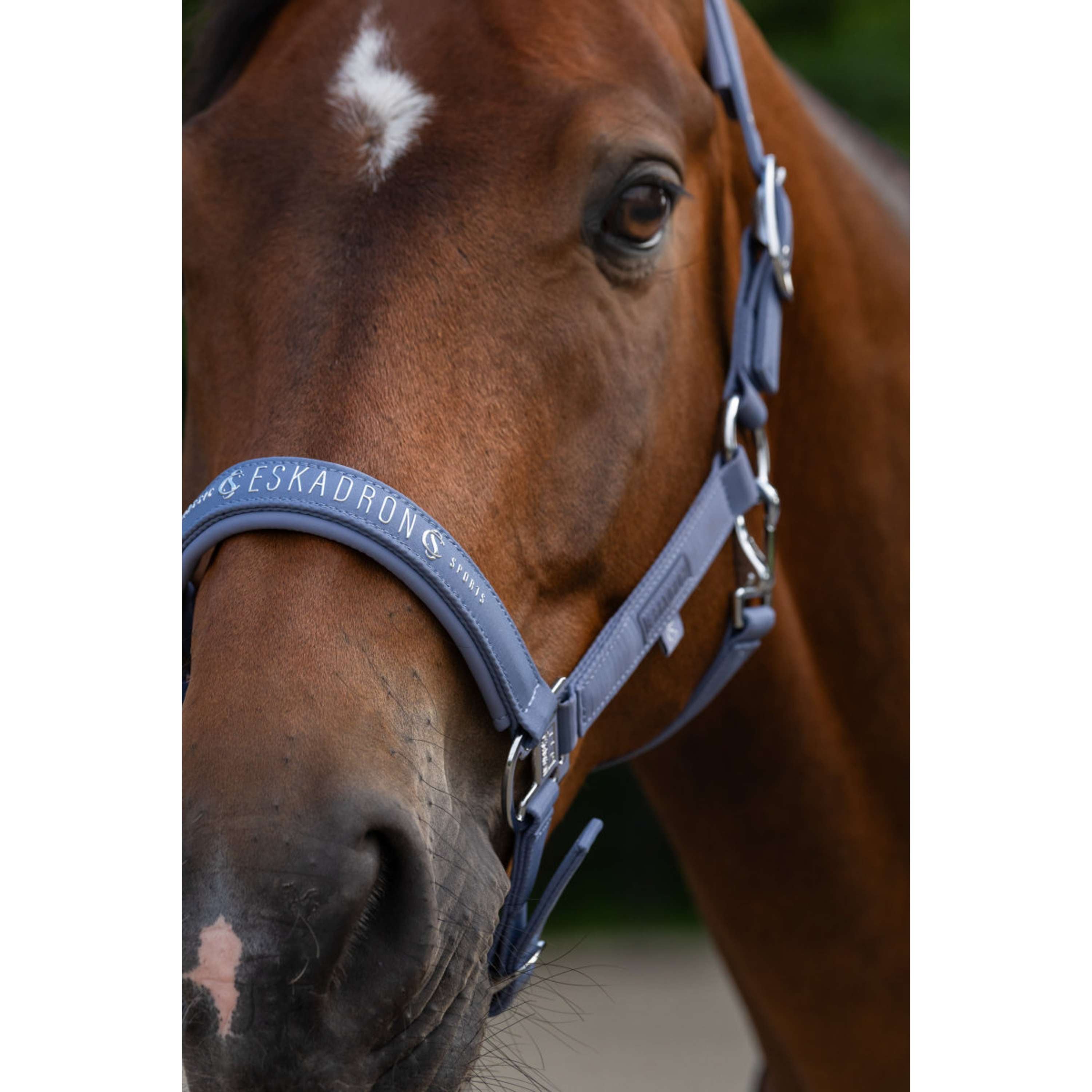 Eskadron Halter Classic Sports Sparkle Orchid