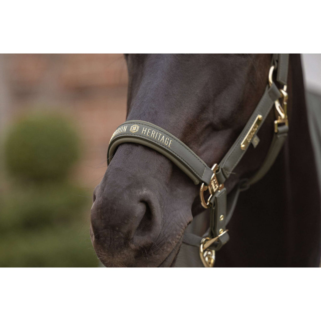 Eskadron Halter Heritage Faux Leather Double Pin Deep Moss