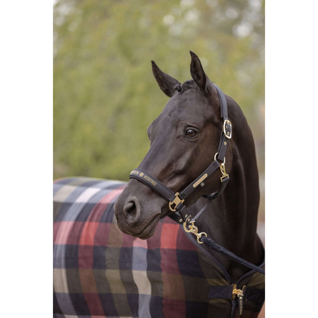 Eskadron Halter Heritage Faux Leather Double Pin Black