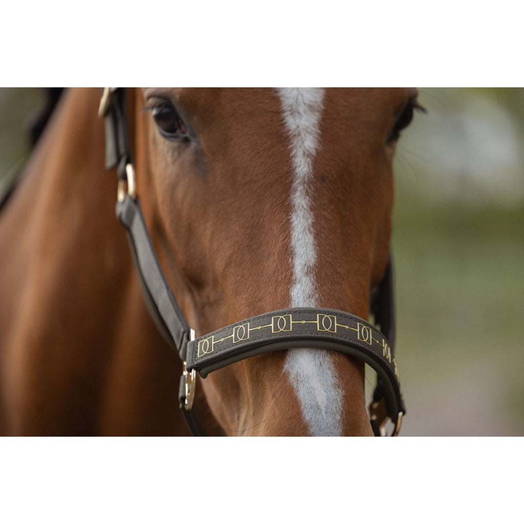 Eskadron Halter Heritage Sparkle Double Pin Deep Moss