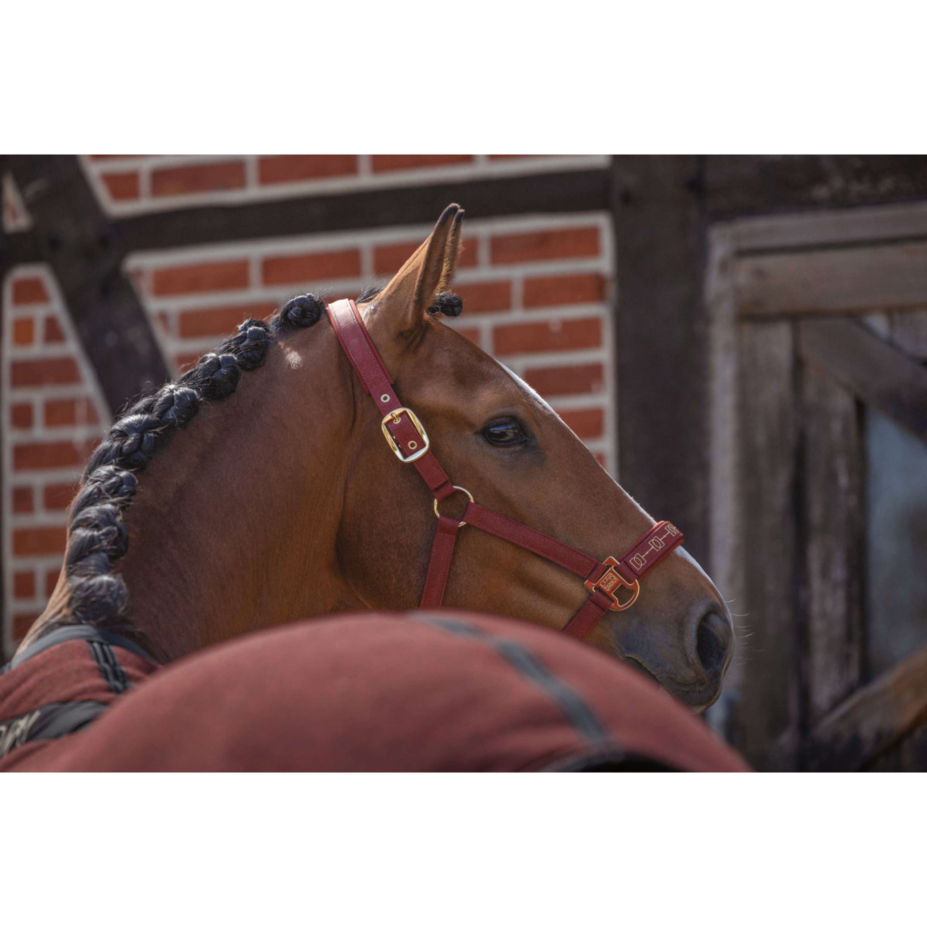 Eskadron Halter Heritage Sparkle Double Pin Merlot