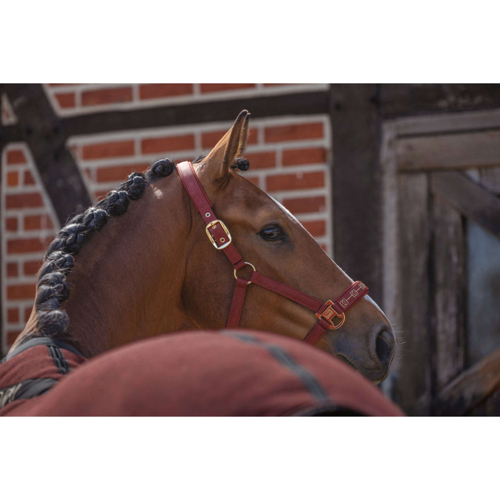 Eskadron Halter Heritage Sparkle Double Pin Merlot