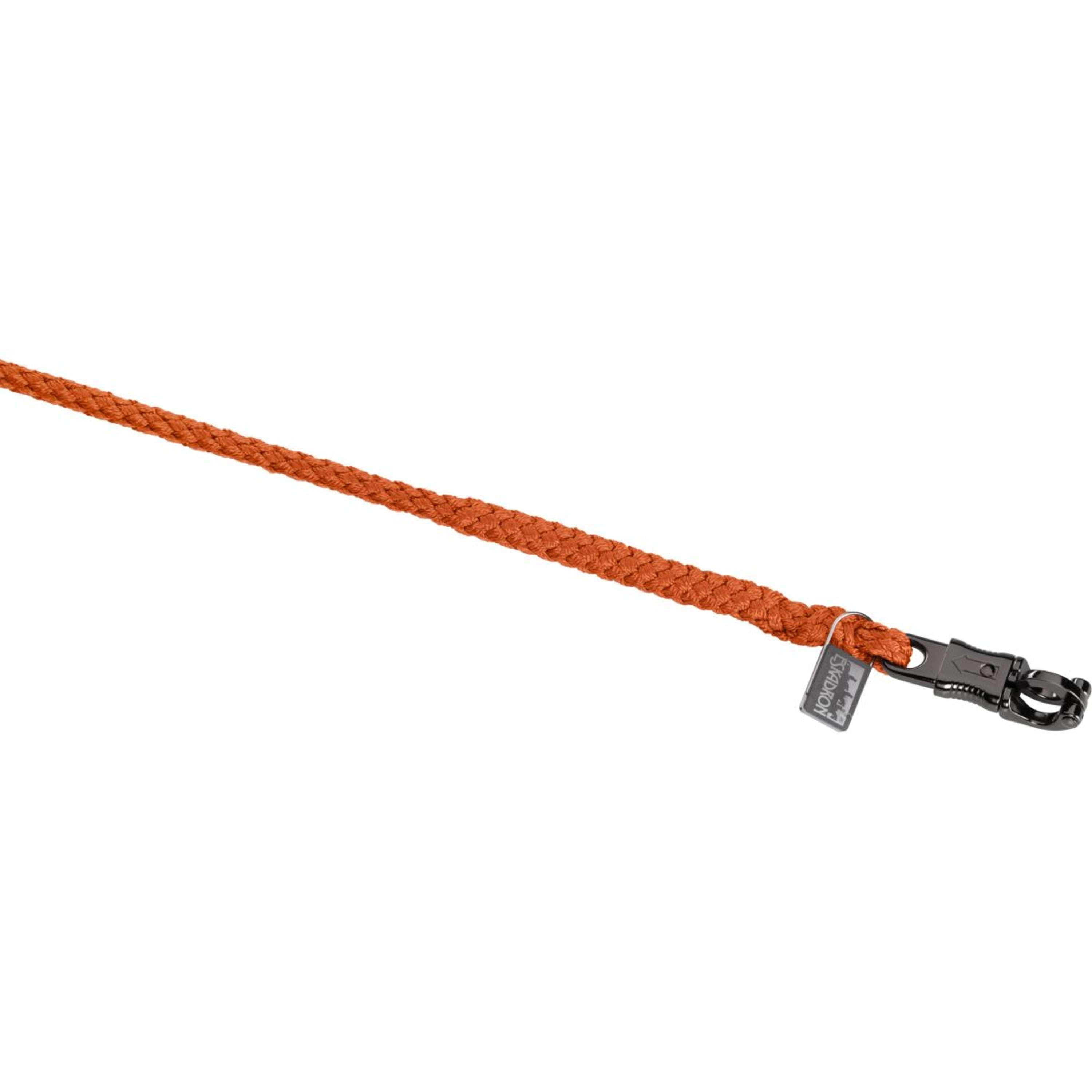Eskadron Lead Rope Platinum '26 Regular with a Panic Snap Amber