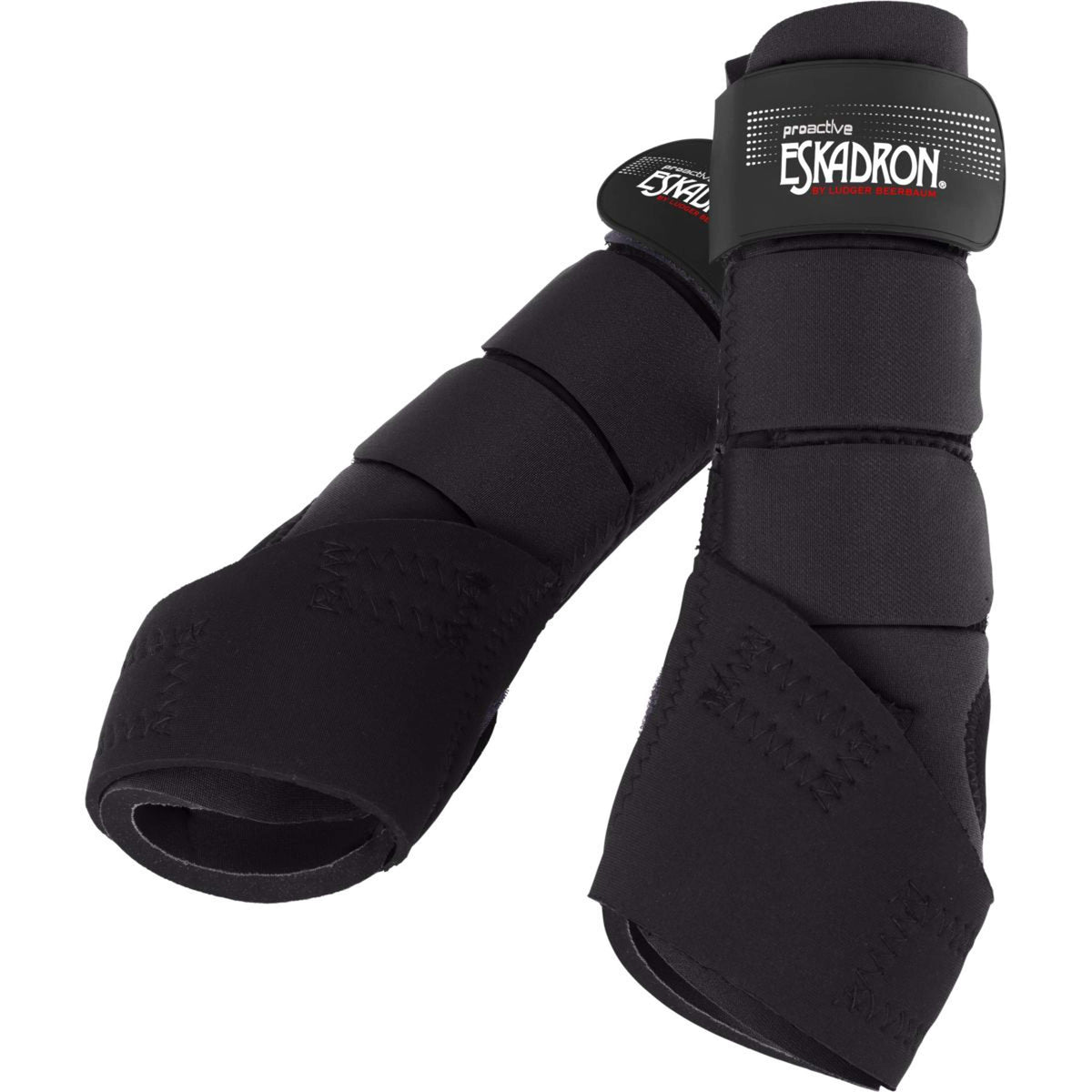 Eskadron Leg protection Pro-active Back Black