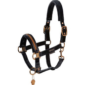 Eskadron Platinum Halter Double Pin Velvet Jewel Black