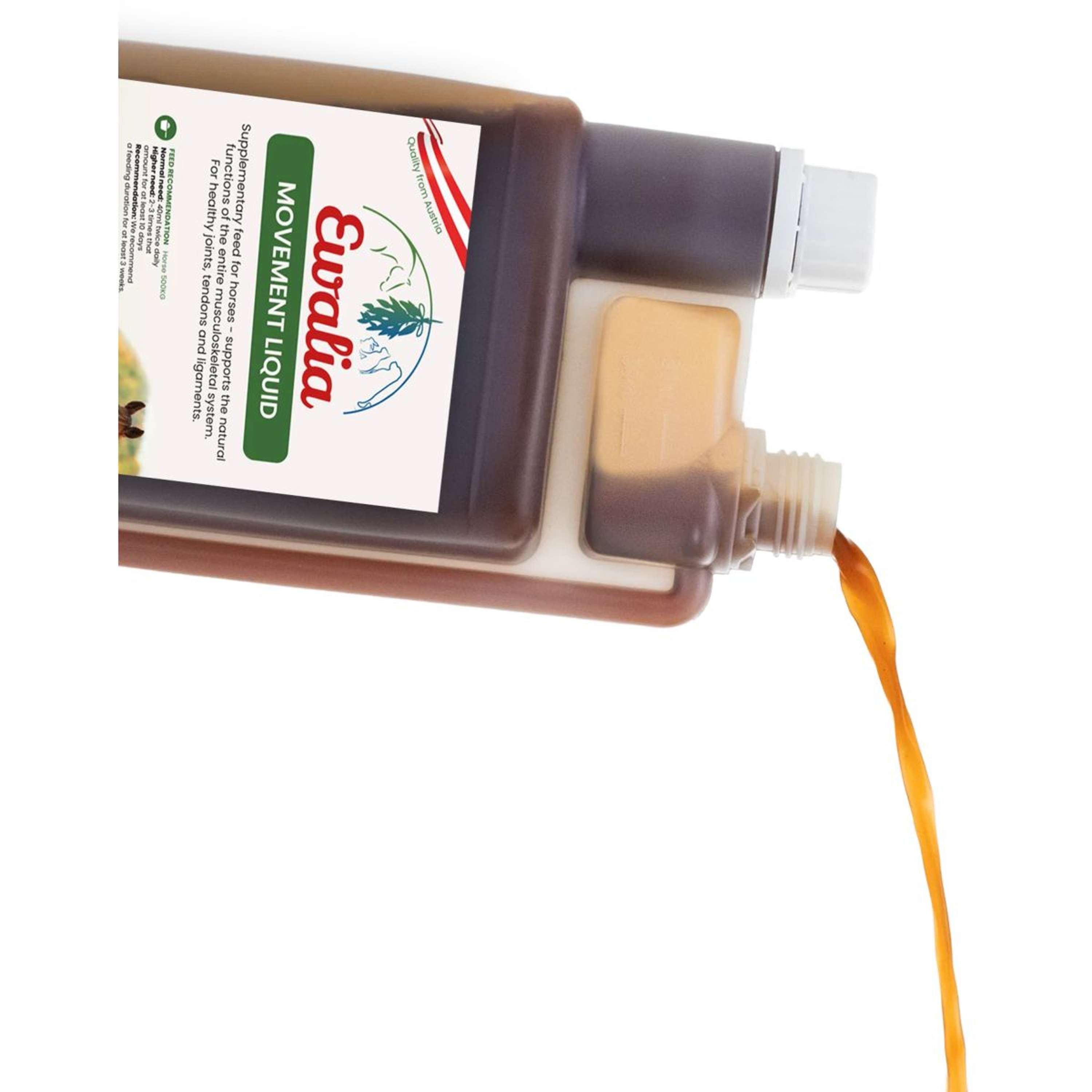 Ewalia Movement Liquid Horse
