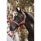 Bucas Halter Dublin Foal Wine/Silver