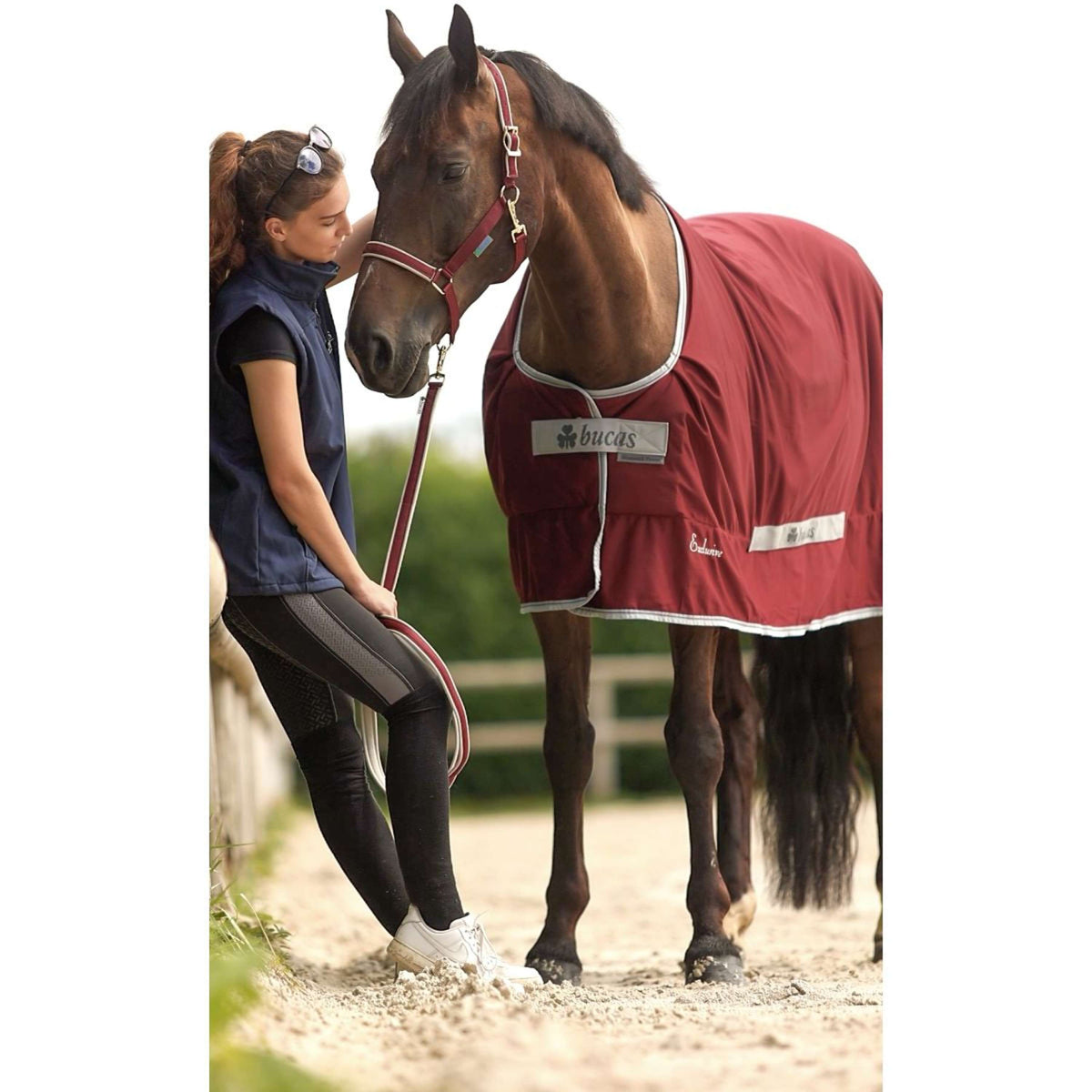 Bucas Lead Rein Dublin Padded Wine/Silver