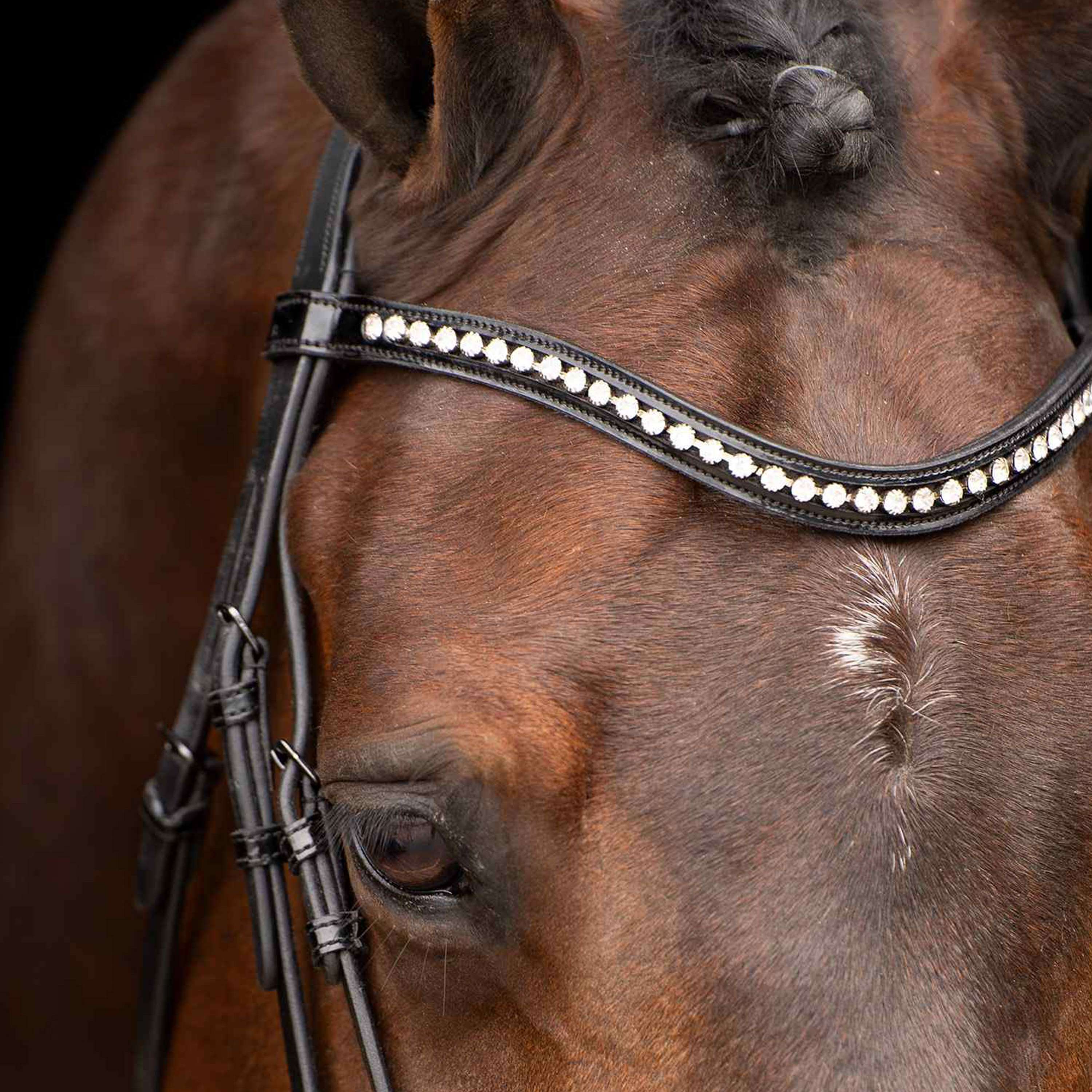 Imperial Riding Bridle IRHAthena Black